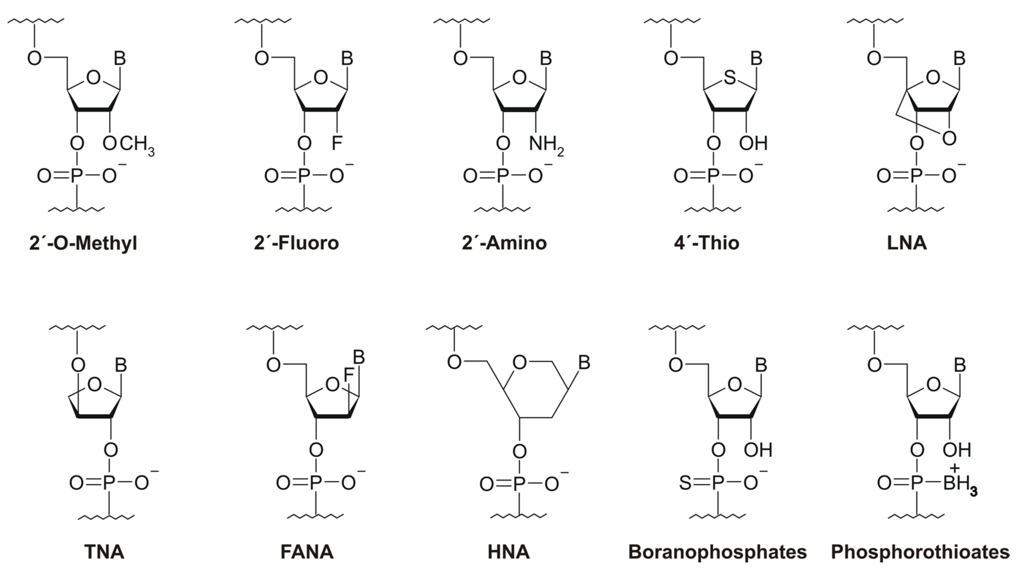 Ijms 19 00470 g002 Ijms 19 00470 g002