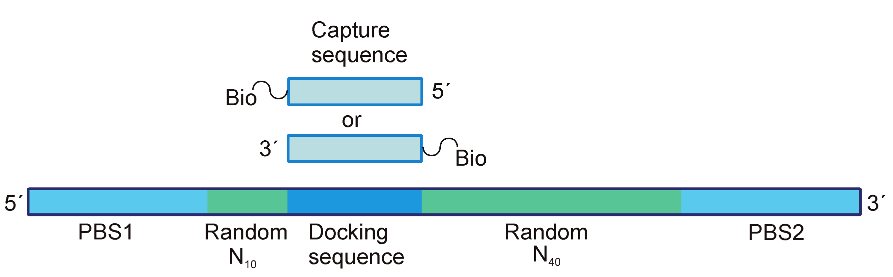 Ijms 19 00470 g004 Ijms 19 00470 g004