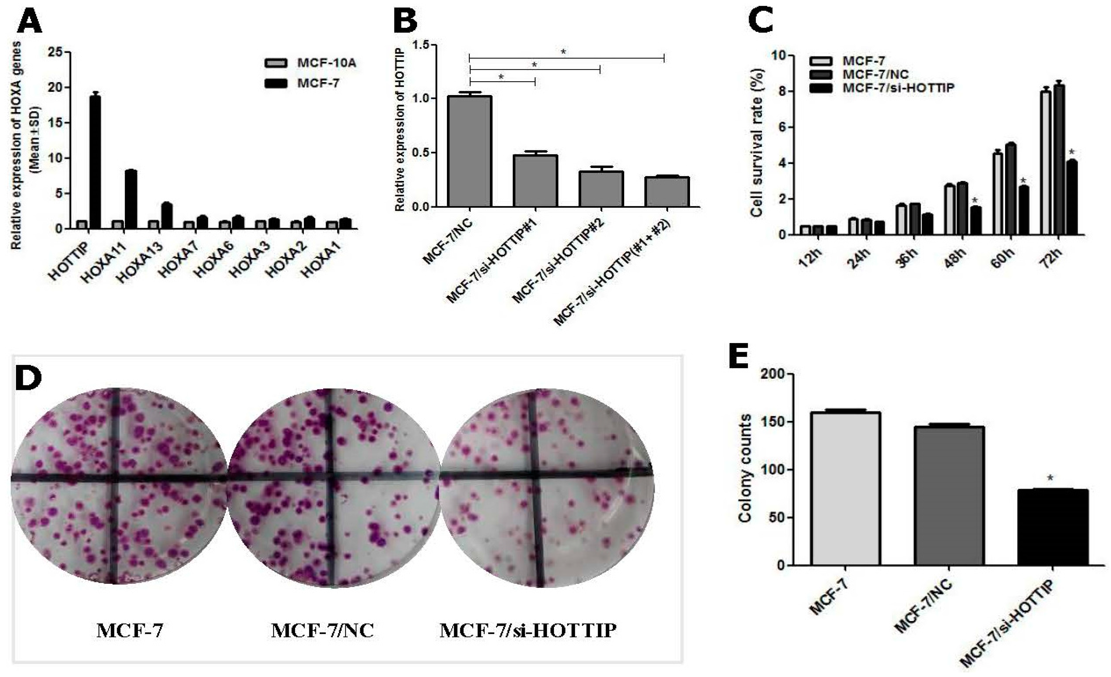 Ijms 19 00472 g001a 550