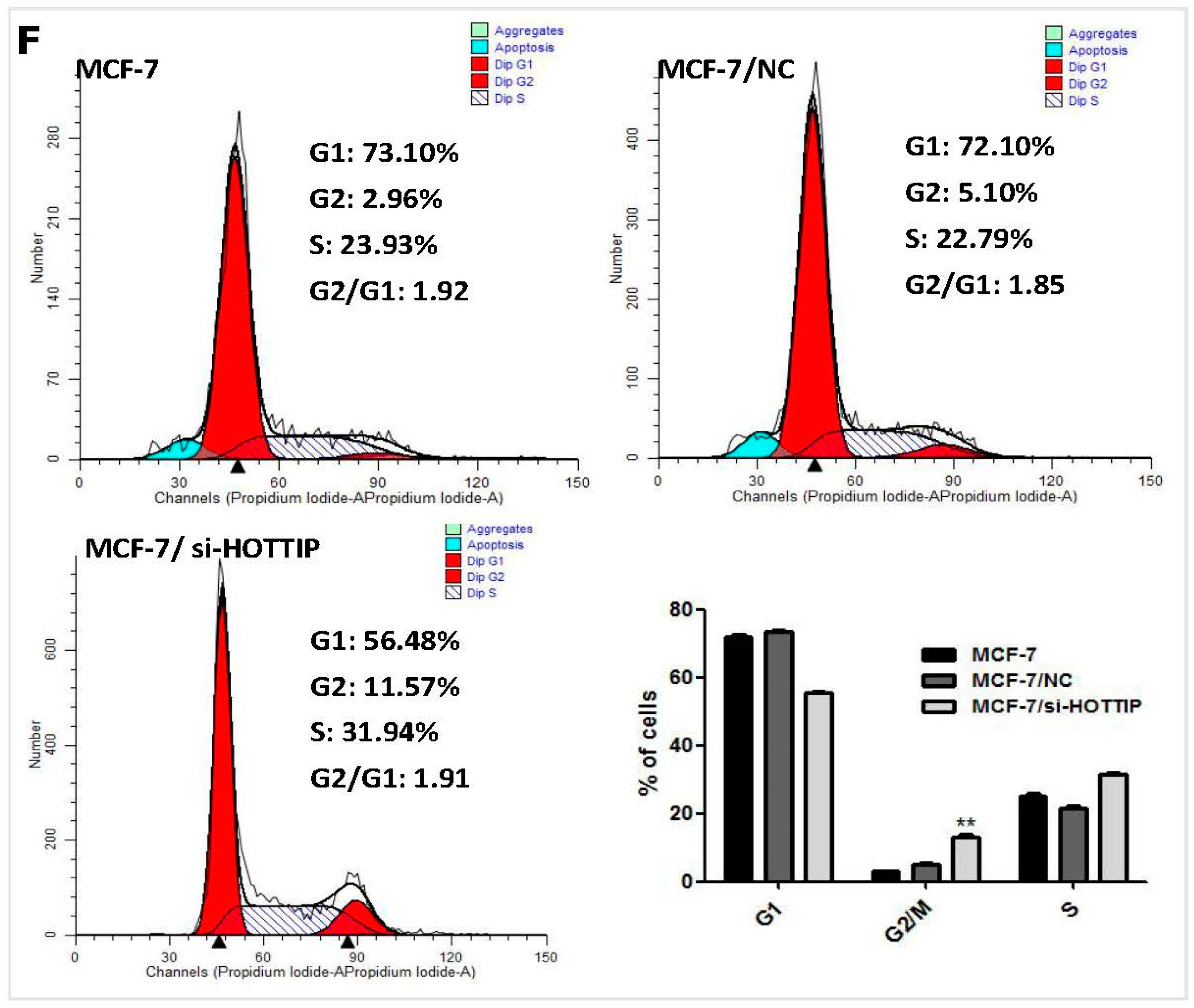 Ijms 19 00472 g001b 550