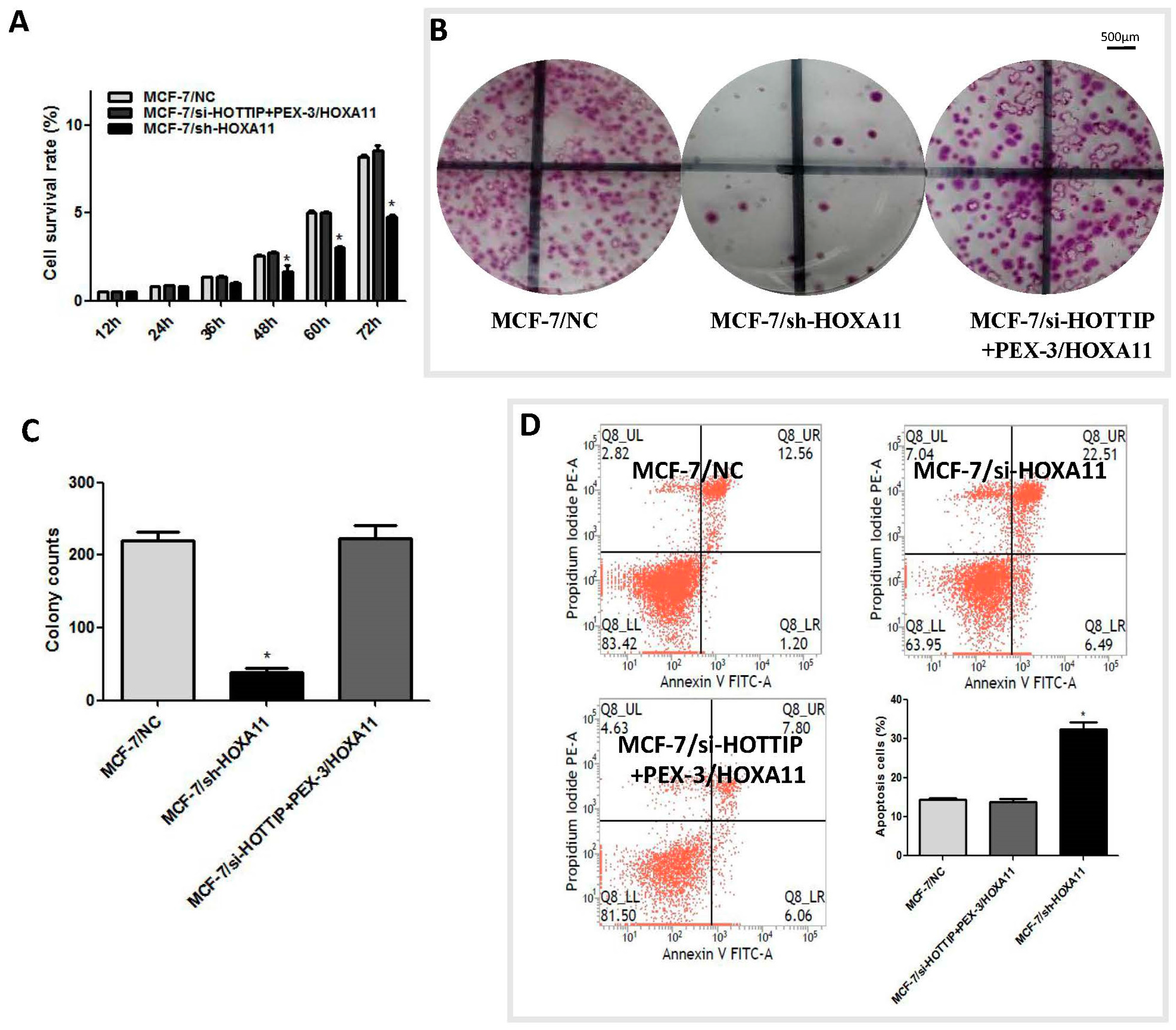 Ijms 19 00472 g004a 550