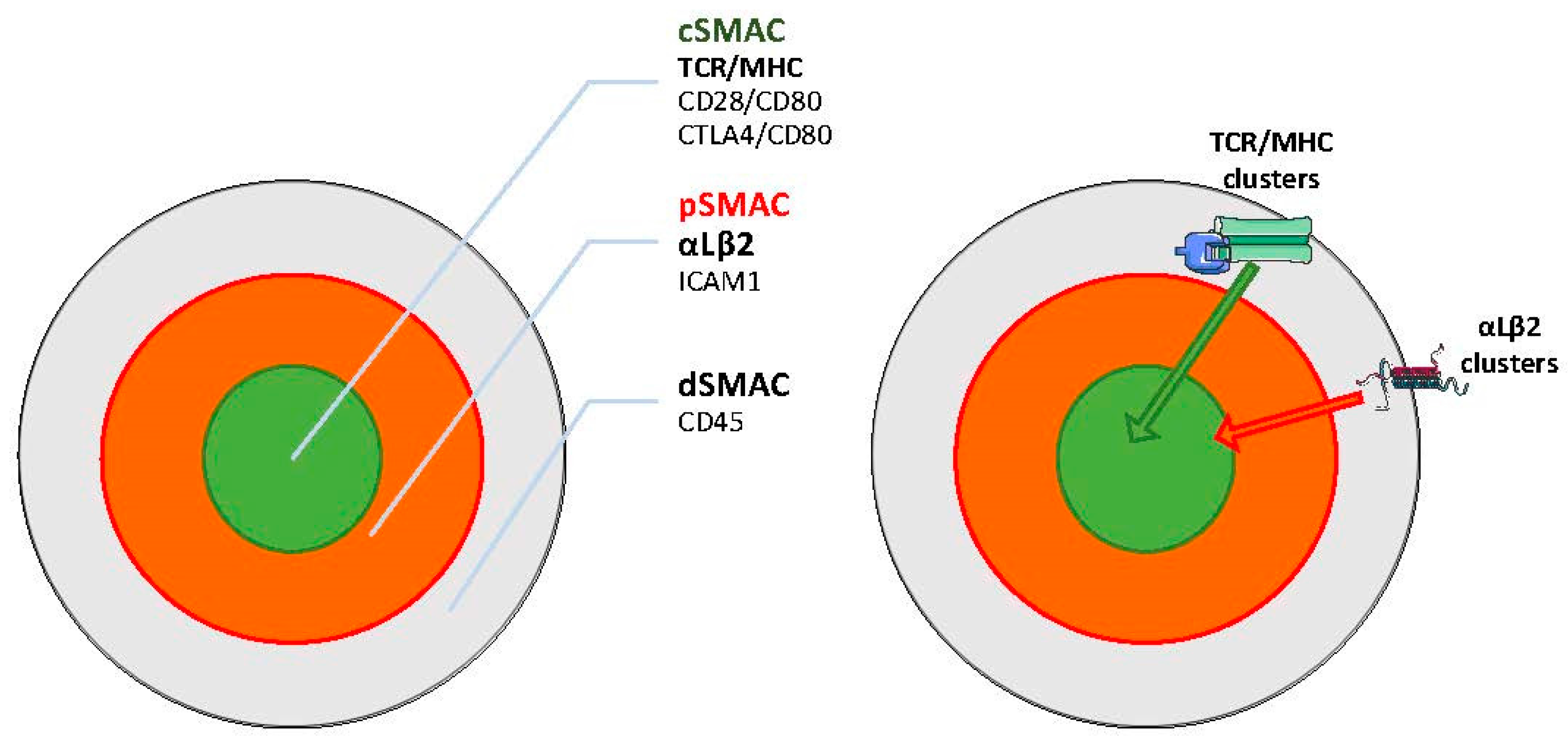 Ijms 19 00485 g003 Ijms 19 00485 g003