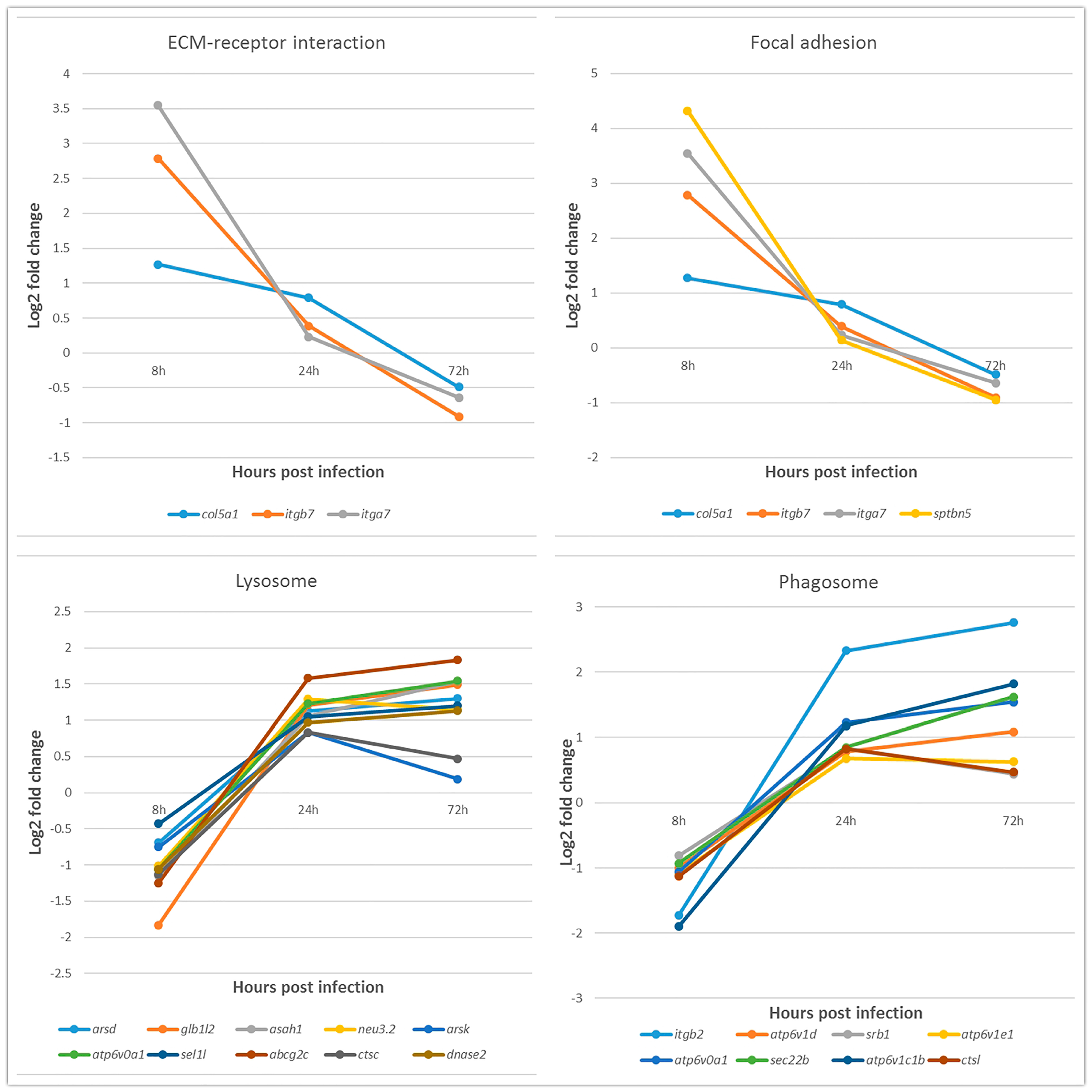 Ijms 19 00488 g004 Ijms 19 00488 g004