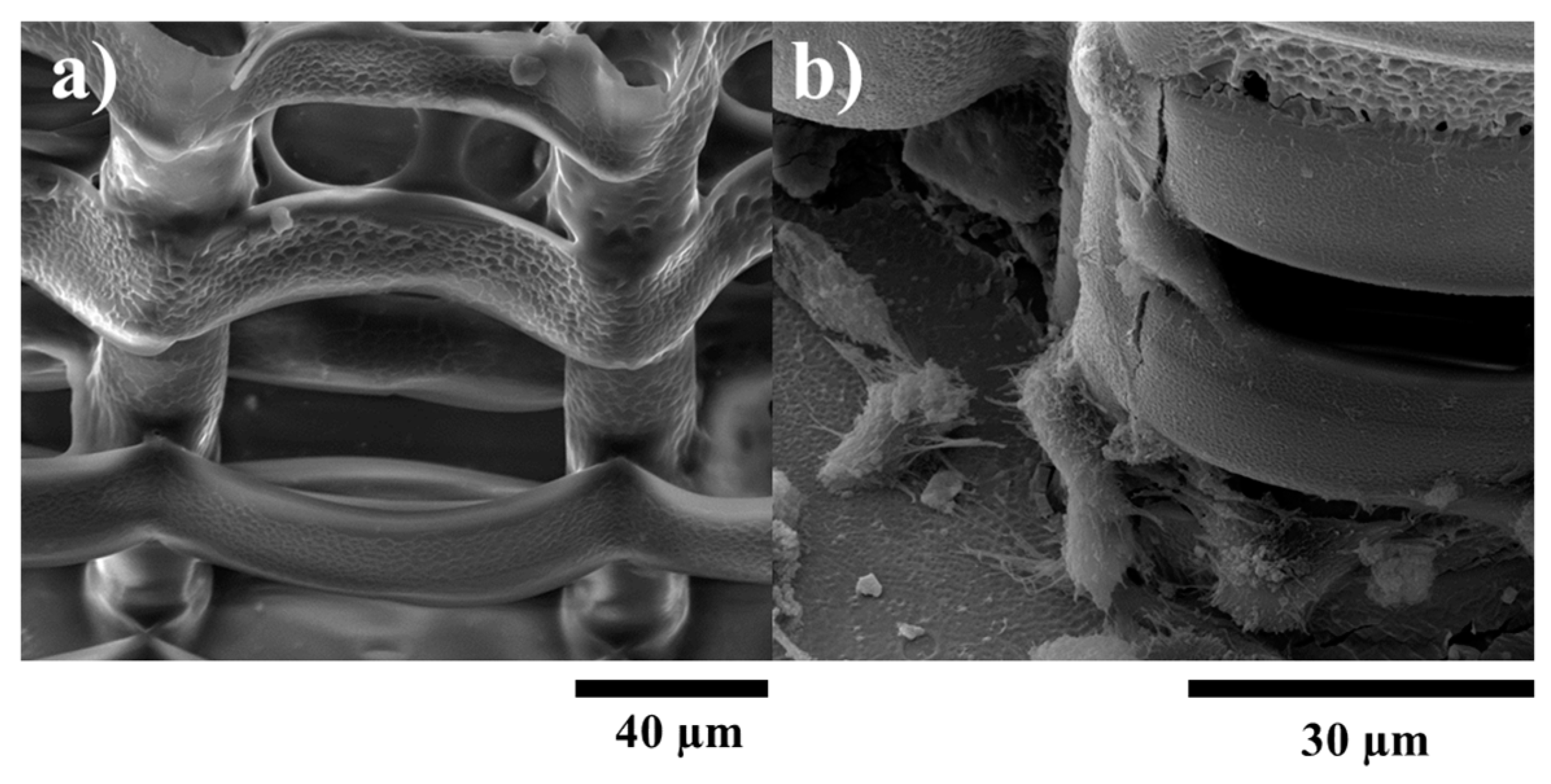 Ijms 19 00495 g006
