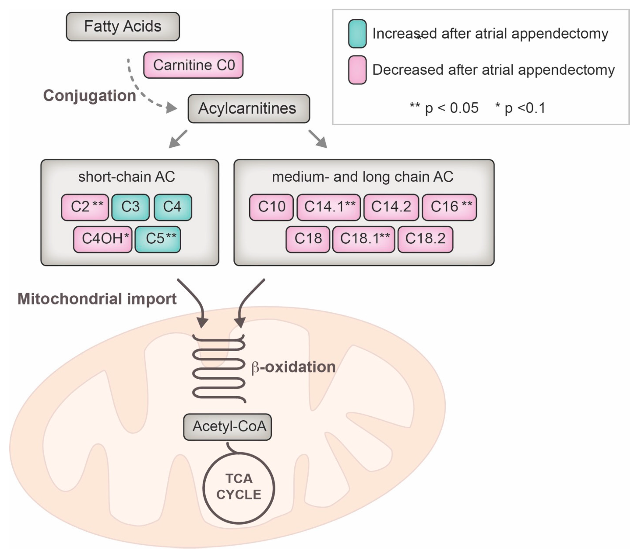 Ijms 19 00500 g003 Ijms 19 00500 g003