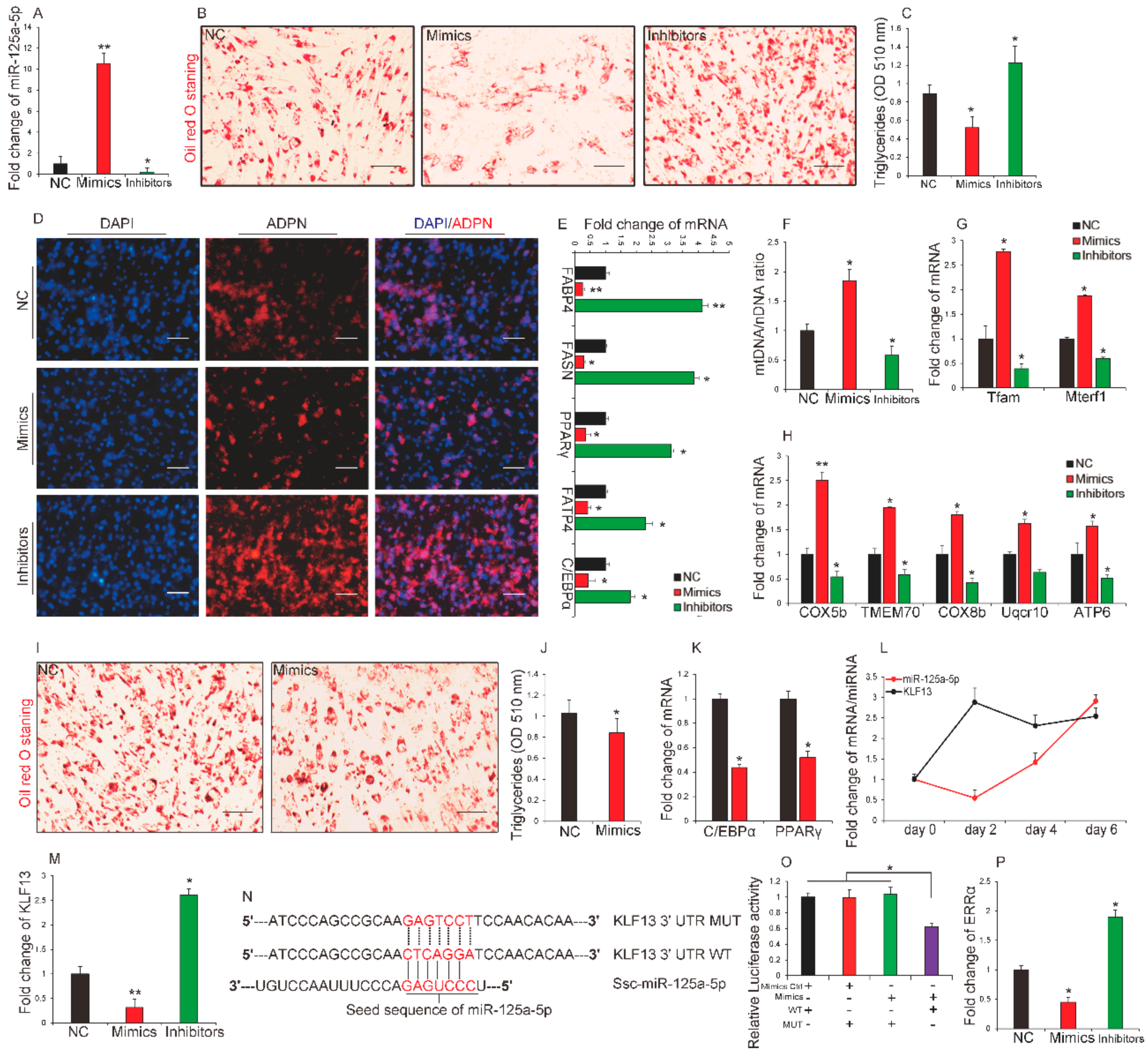 Ijms 19 00501 g003 Ijms 19 00501 g003