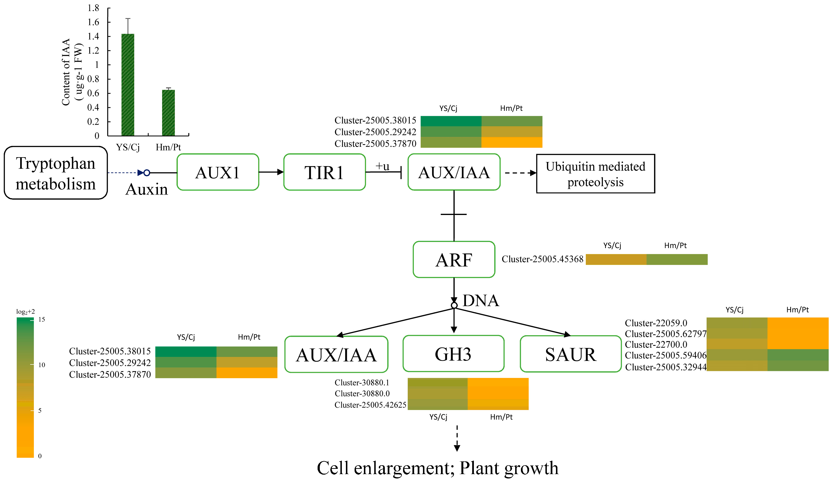 Ijms 19 00505 g005 550