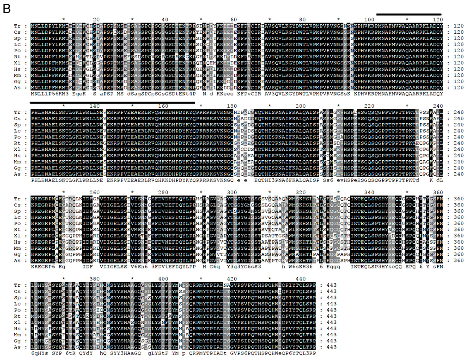 Ijms 19 00512 g001b 550