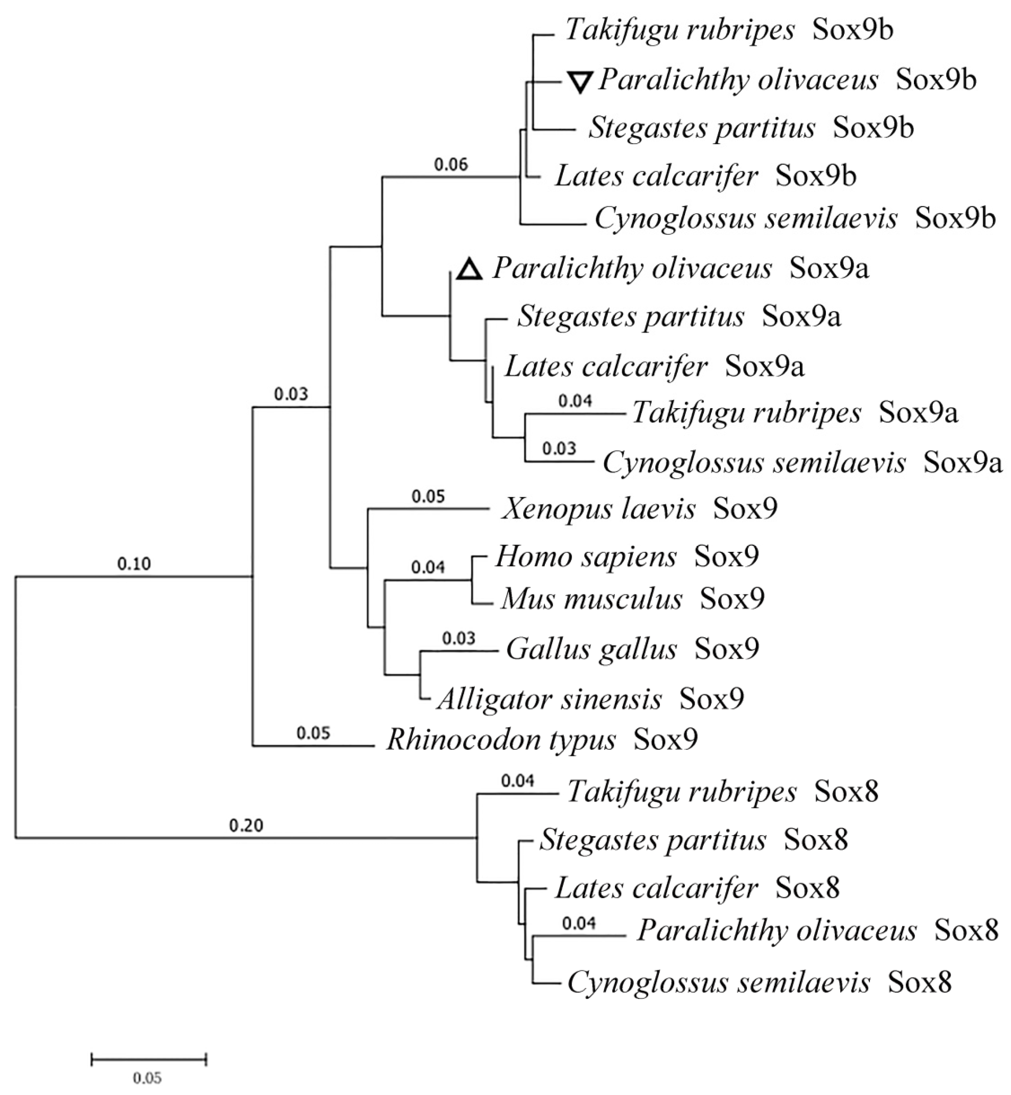 Ijms 19 00512 g002 550