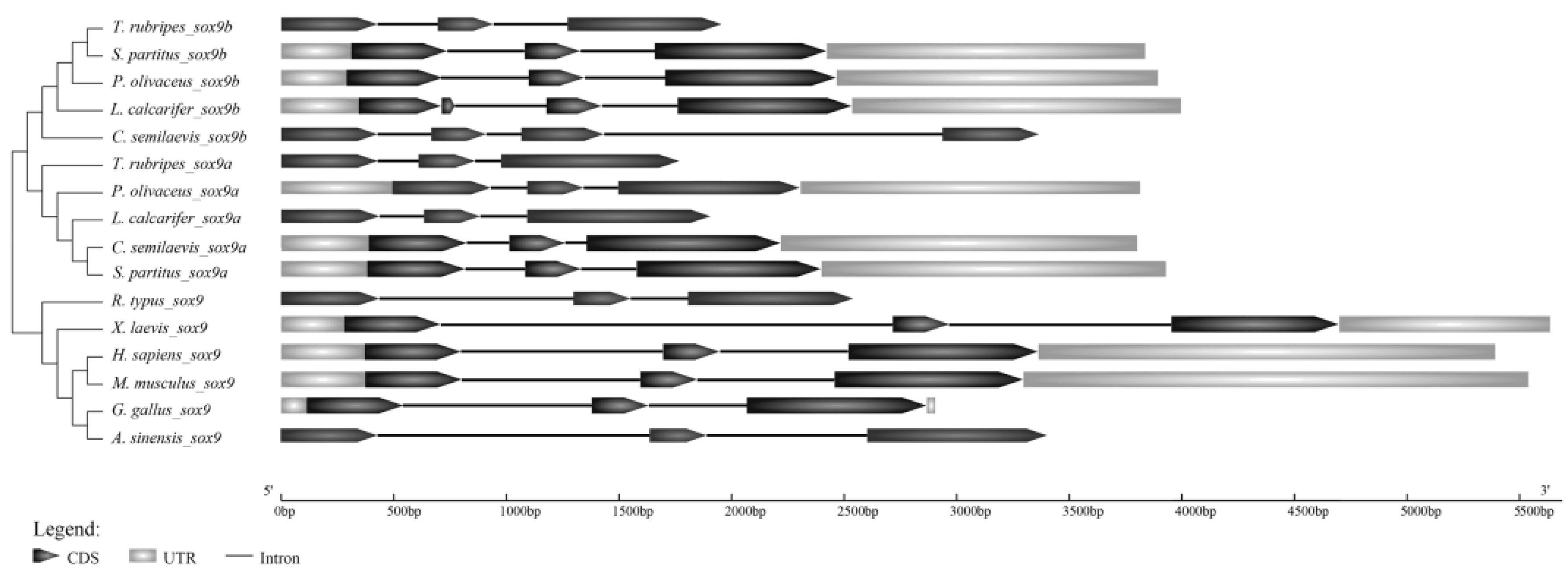 Ijms 19 00512 g003 550