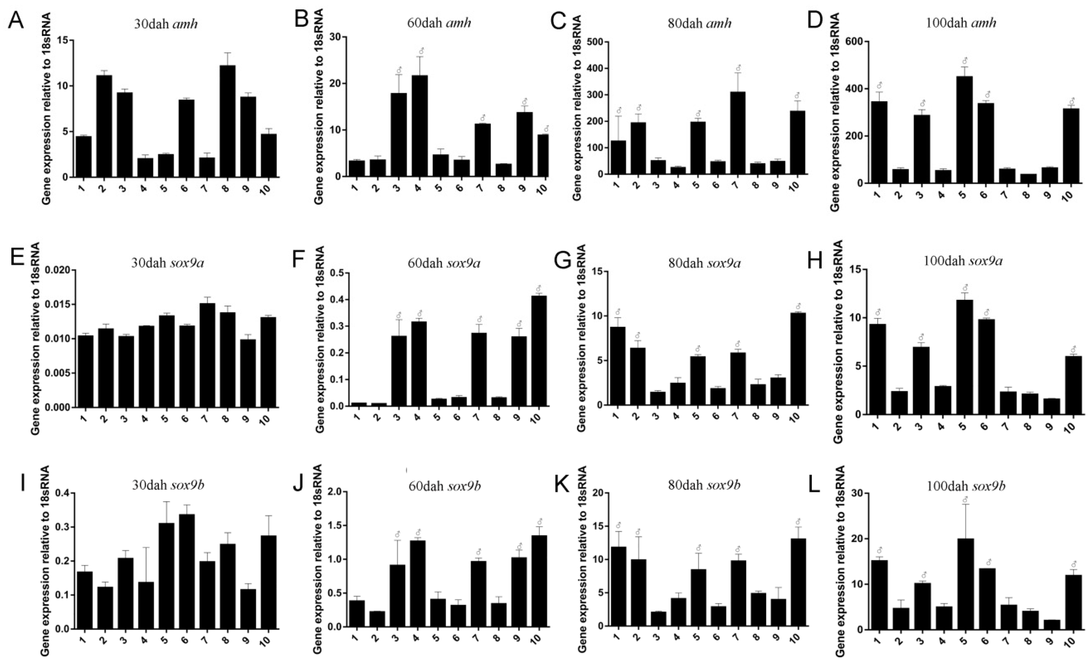 Ijms 19 00512 g006 550