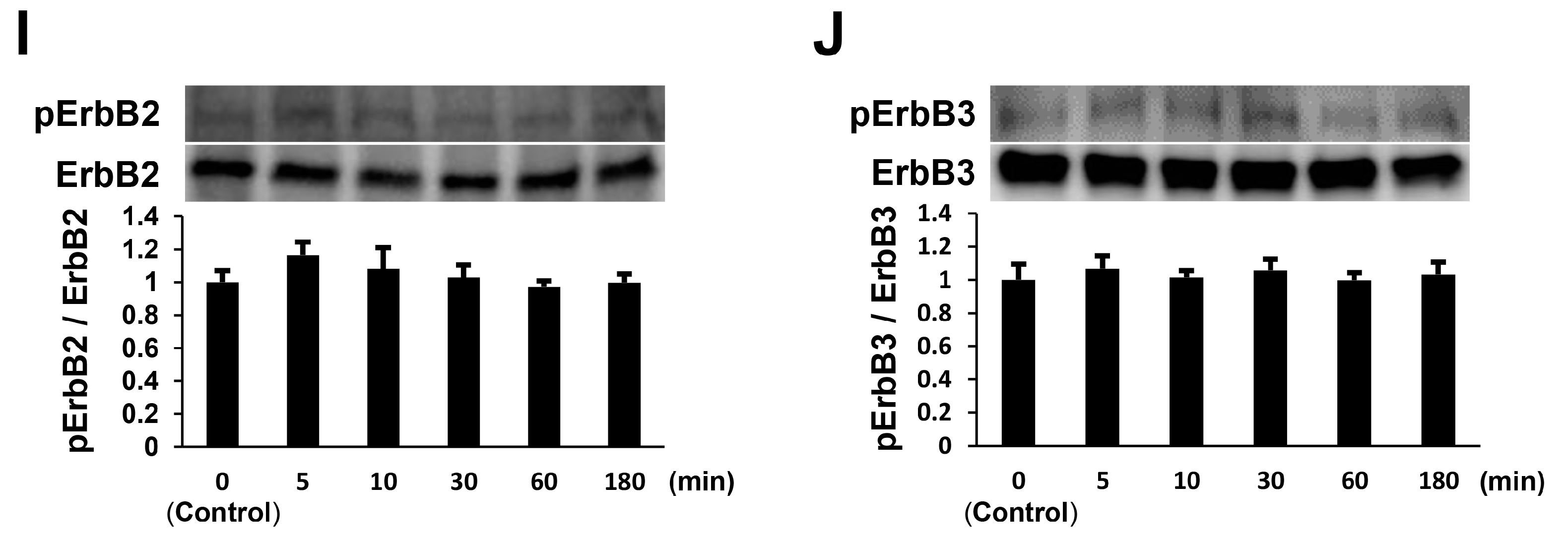 Ijms 19 00516 g001b
