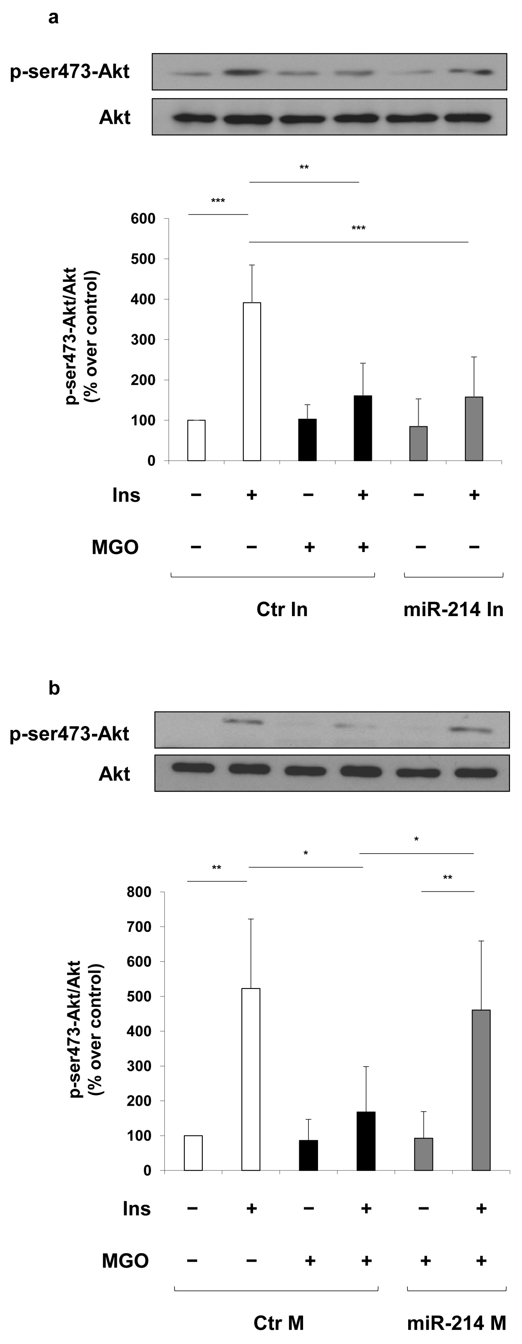 Ijms 19 00522 g005