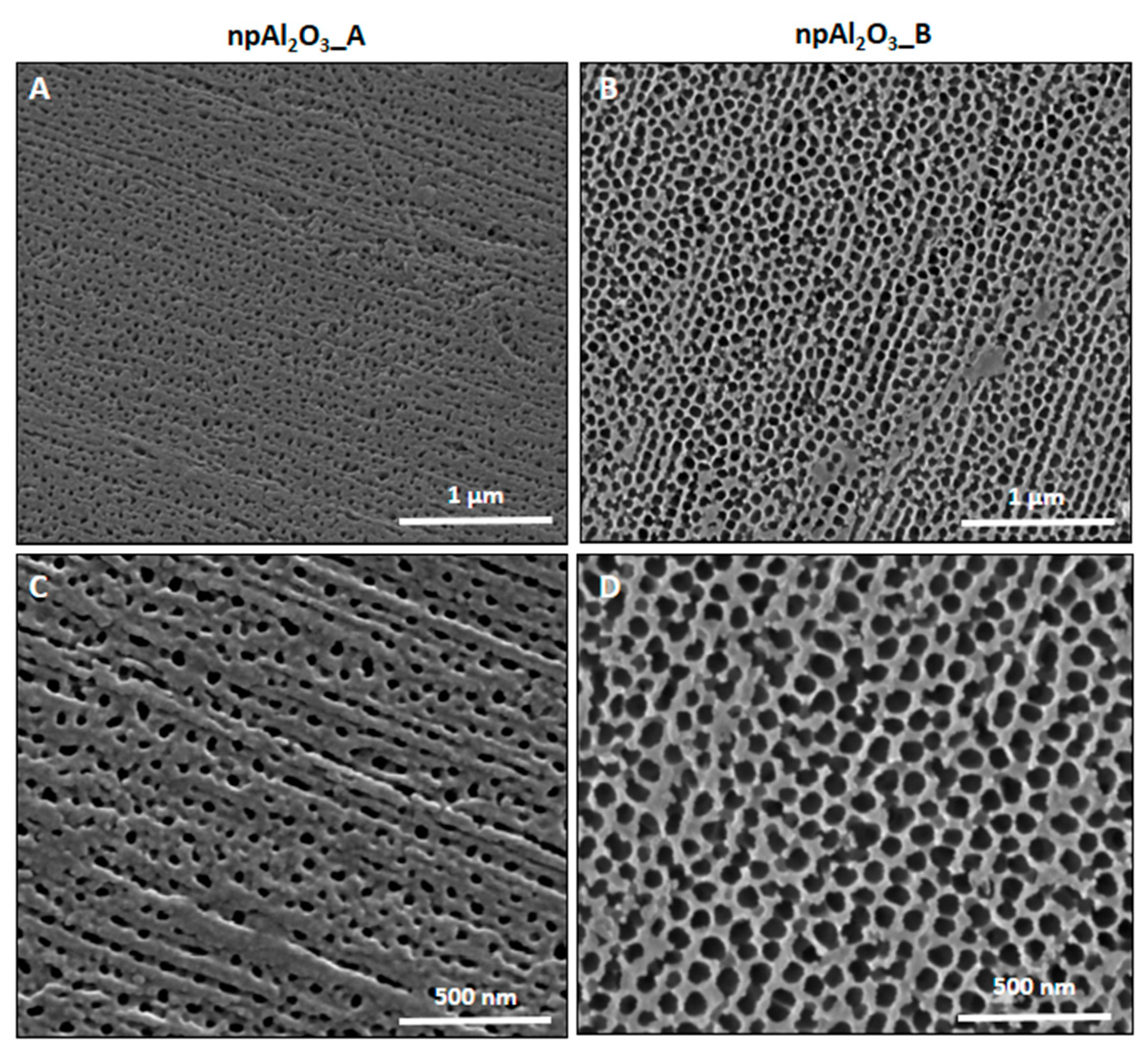 Ijms 19 00528 g001 550