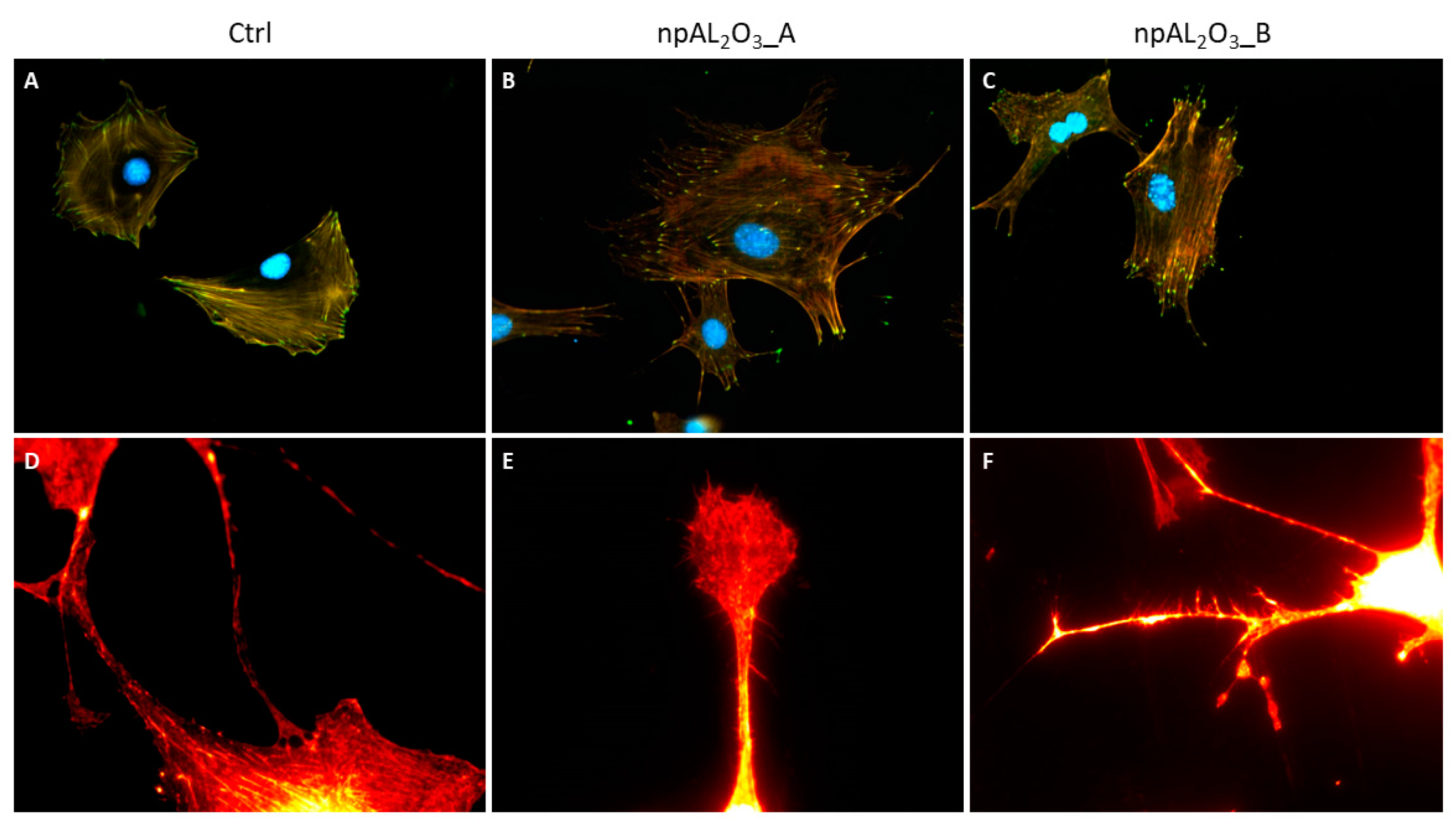 Ijms 19 00528 g005 550