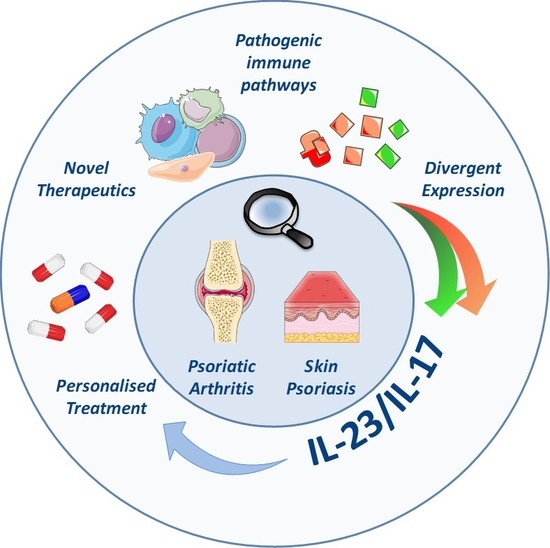 Ijms Free Full Text Role Of The Il 23 Il 17 Axis In Psoriasis And Psoriatic Arthritis The Clinical Importance Of Its Divergence In Skin And Joints Html