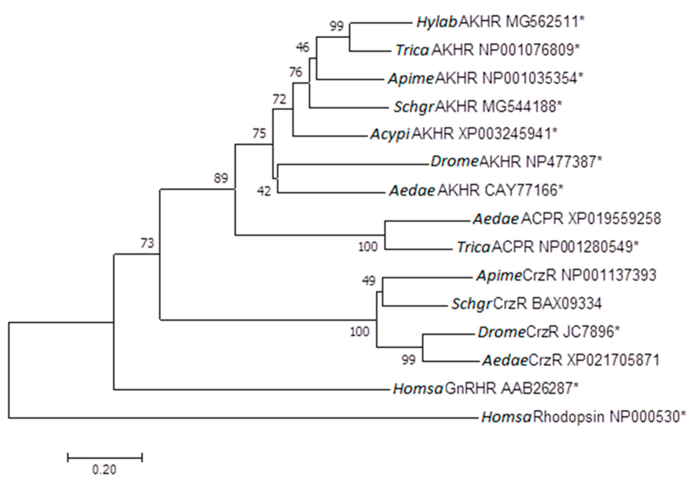 Ijms 19 00542 g001 Ijms 19 00542 g001