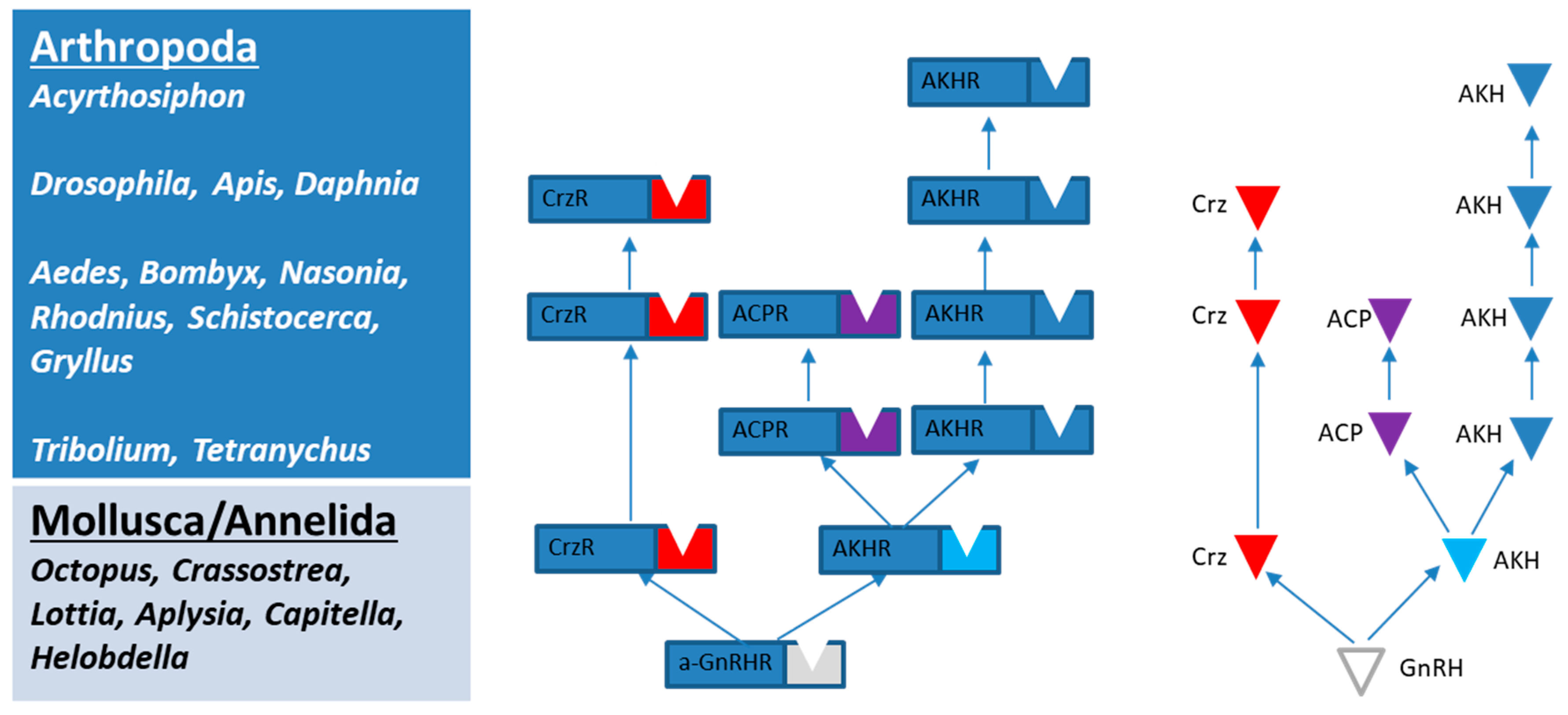 Ijms 19 00542 g002 Ijms 19 00542 g002