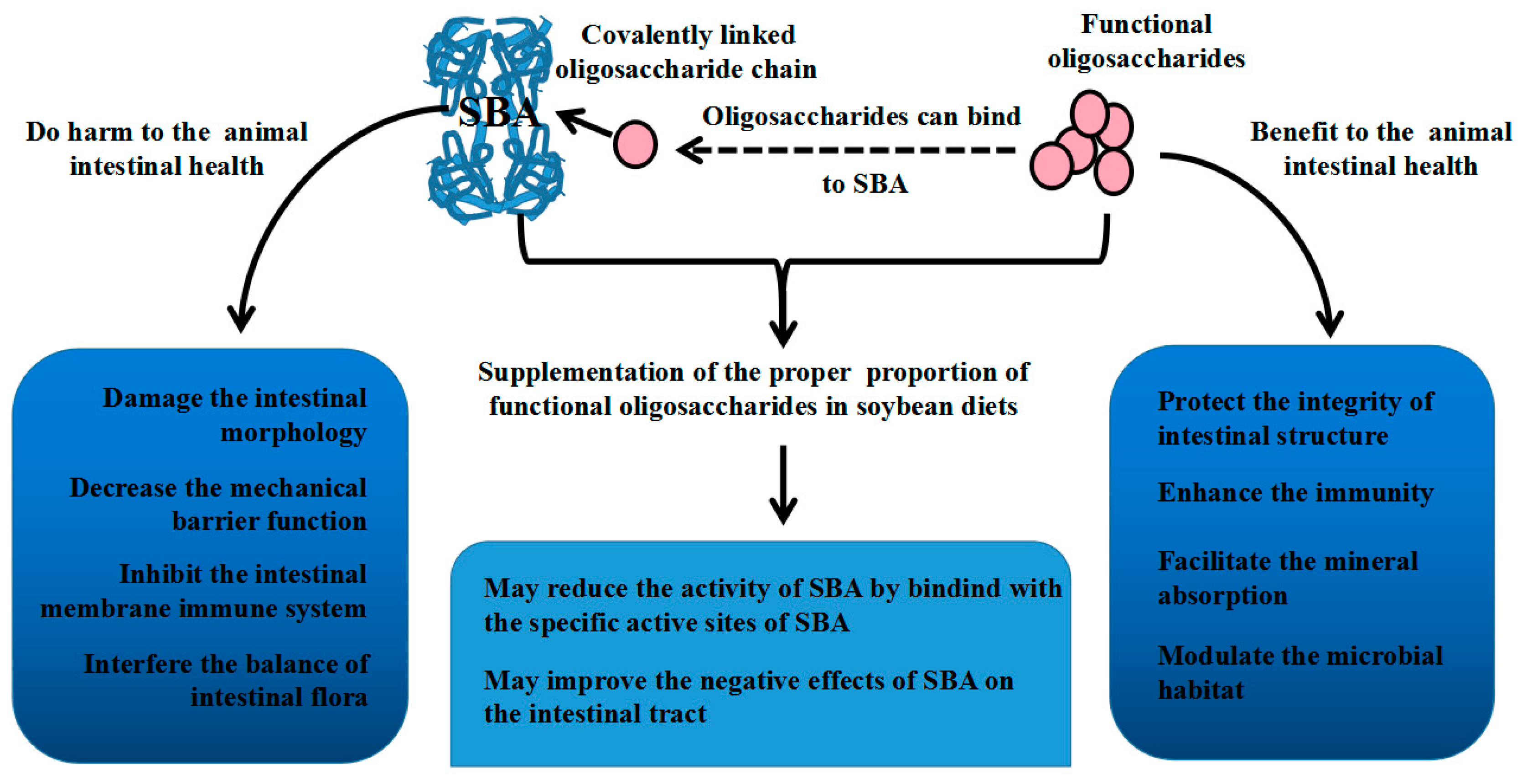 Ijms 19 00554 g002 550