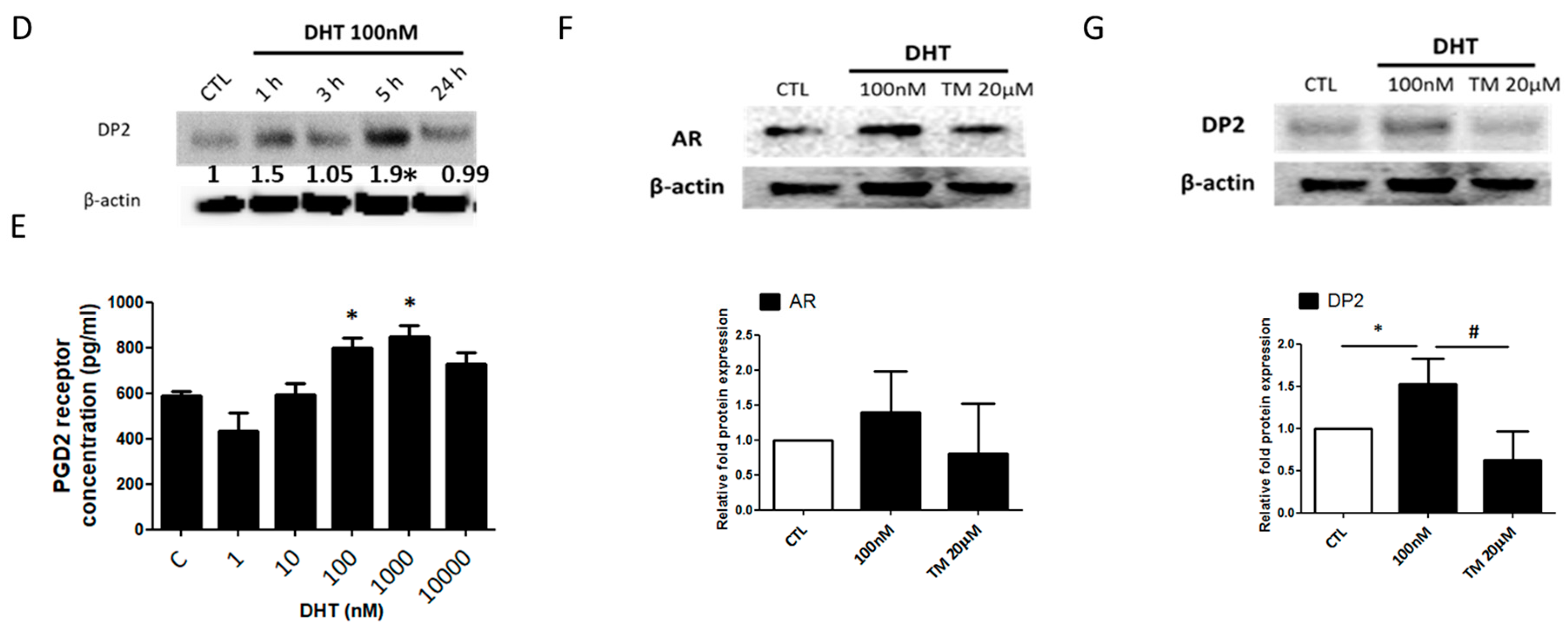 IJMS | Free Full-Text | Prostaglandin D2-Mediated DP2 and AKT Signal  Regulate the Activation of Androgen Receptors in Human Dermal Papilla Cells