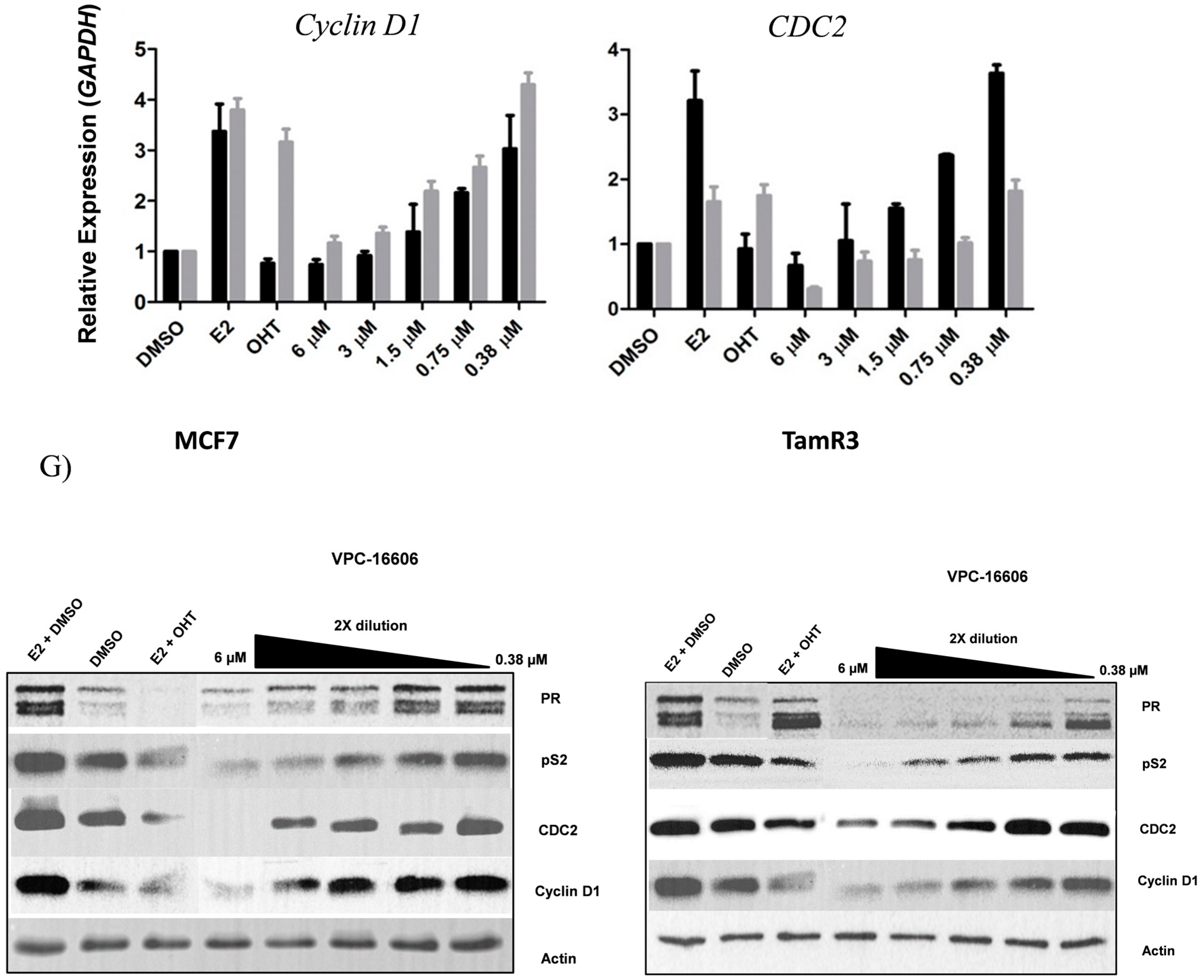 Ijms 19 00579 g003b 550