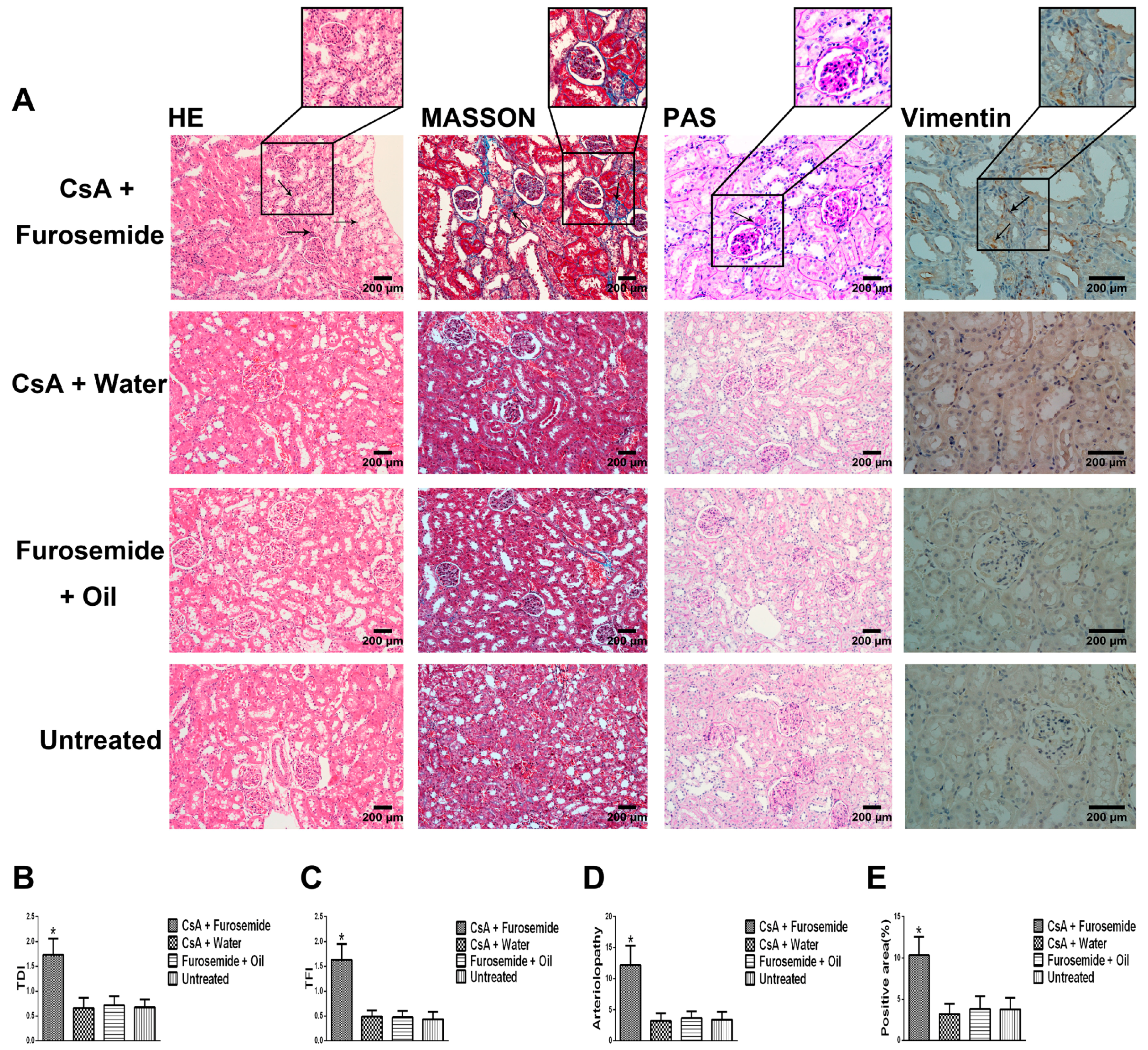 Ijms 19 00581 g003 550