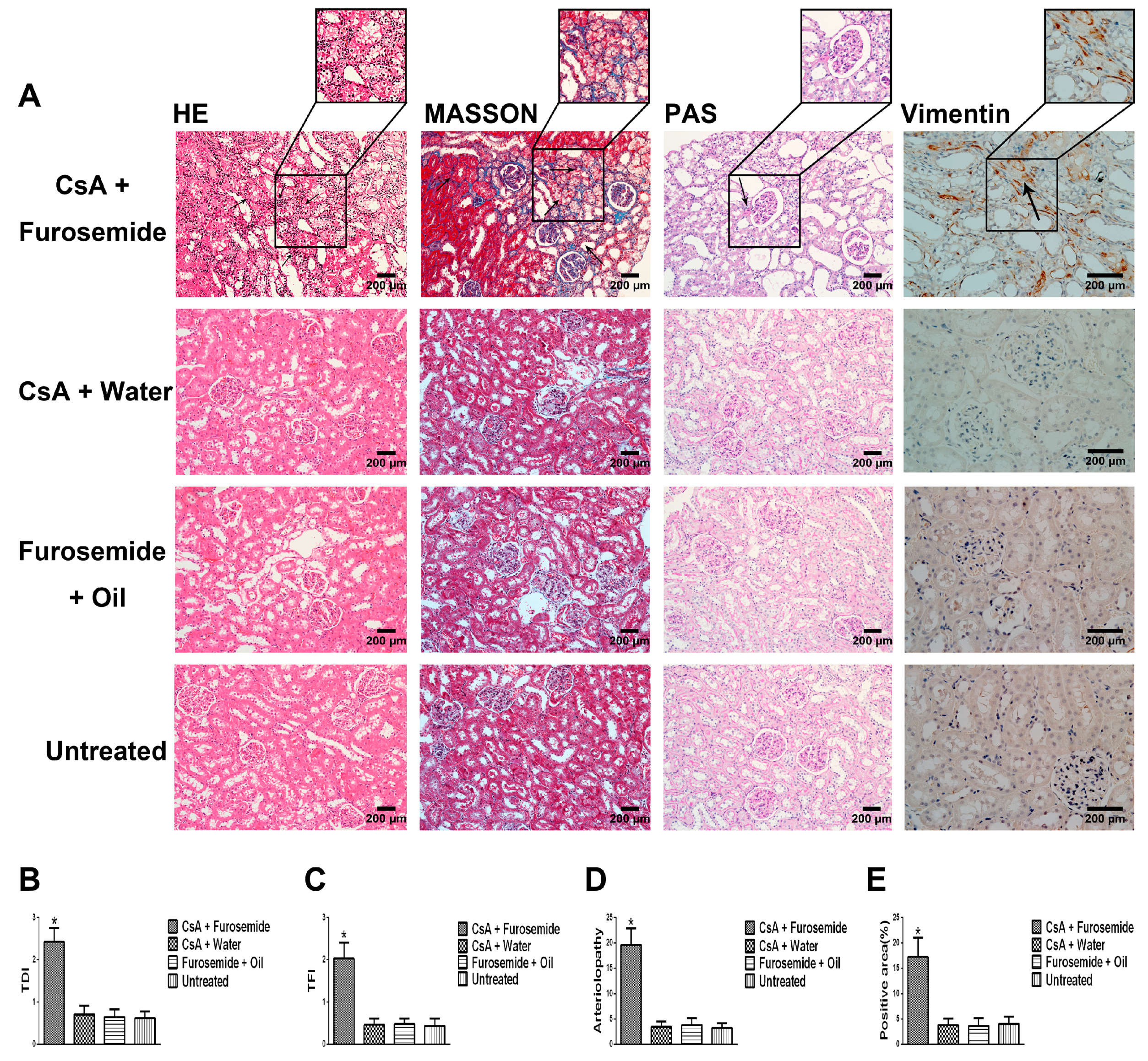 Ijms 19 00581 g004 550