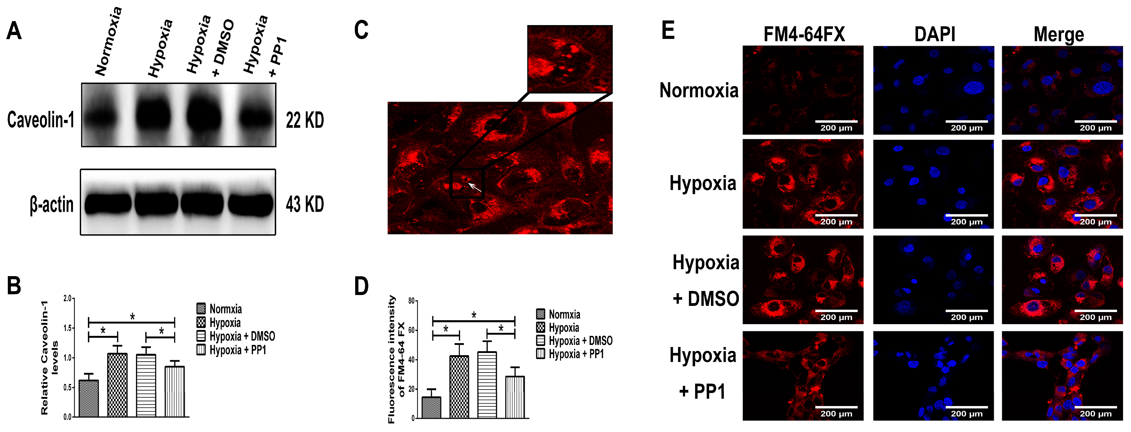 Ijms 19 00581 g007 550