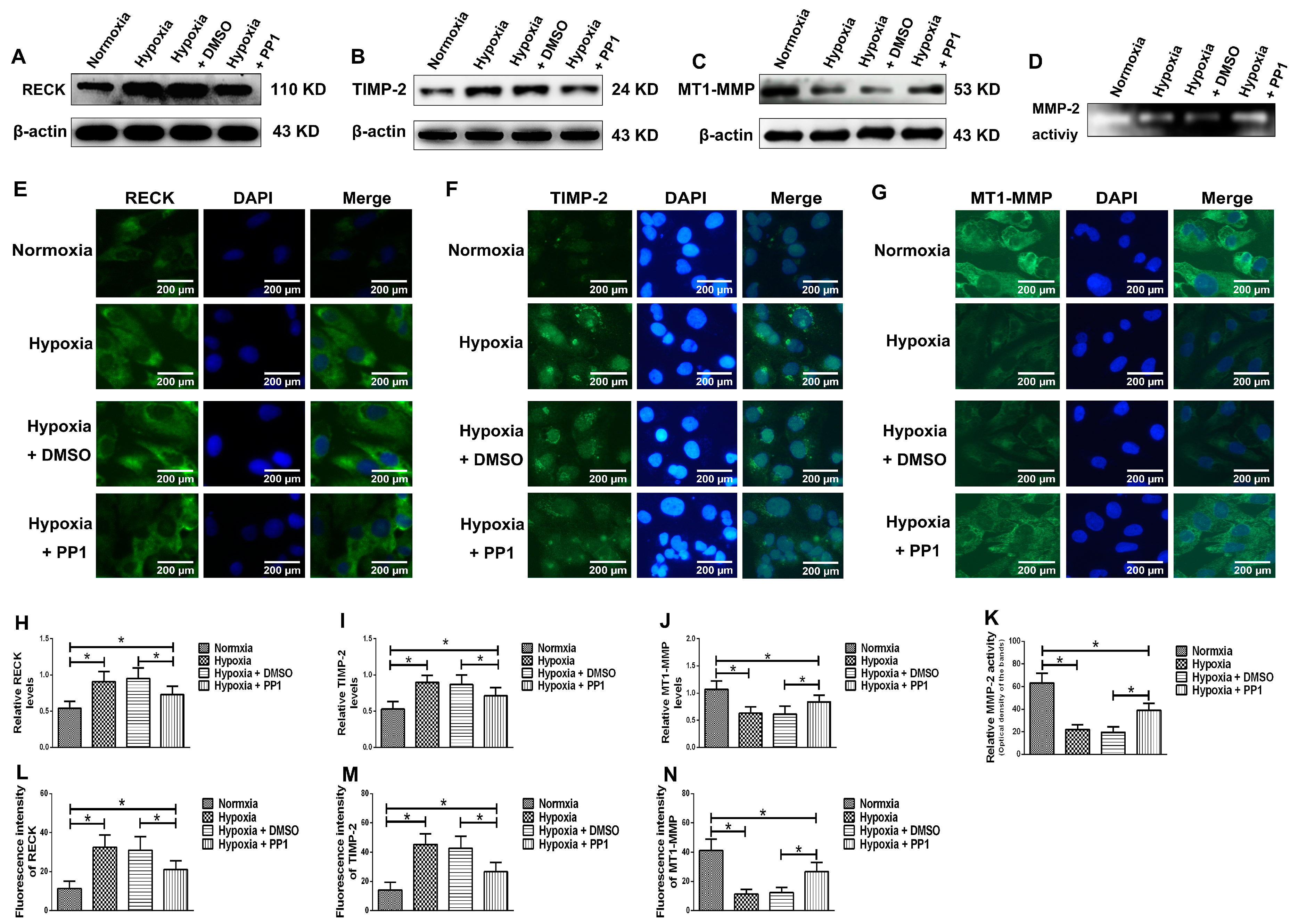 Ijms 19 00581 g008 550
