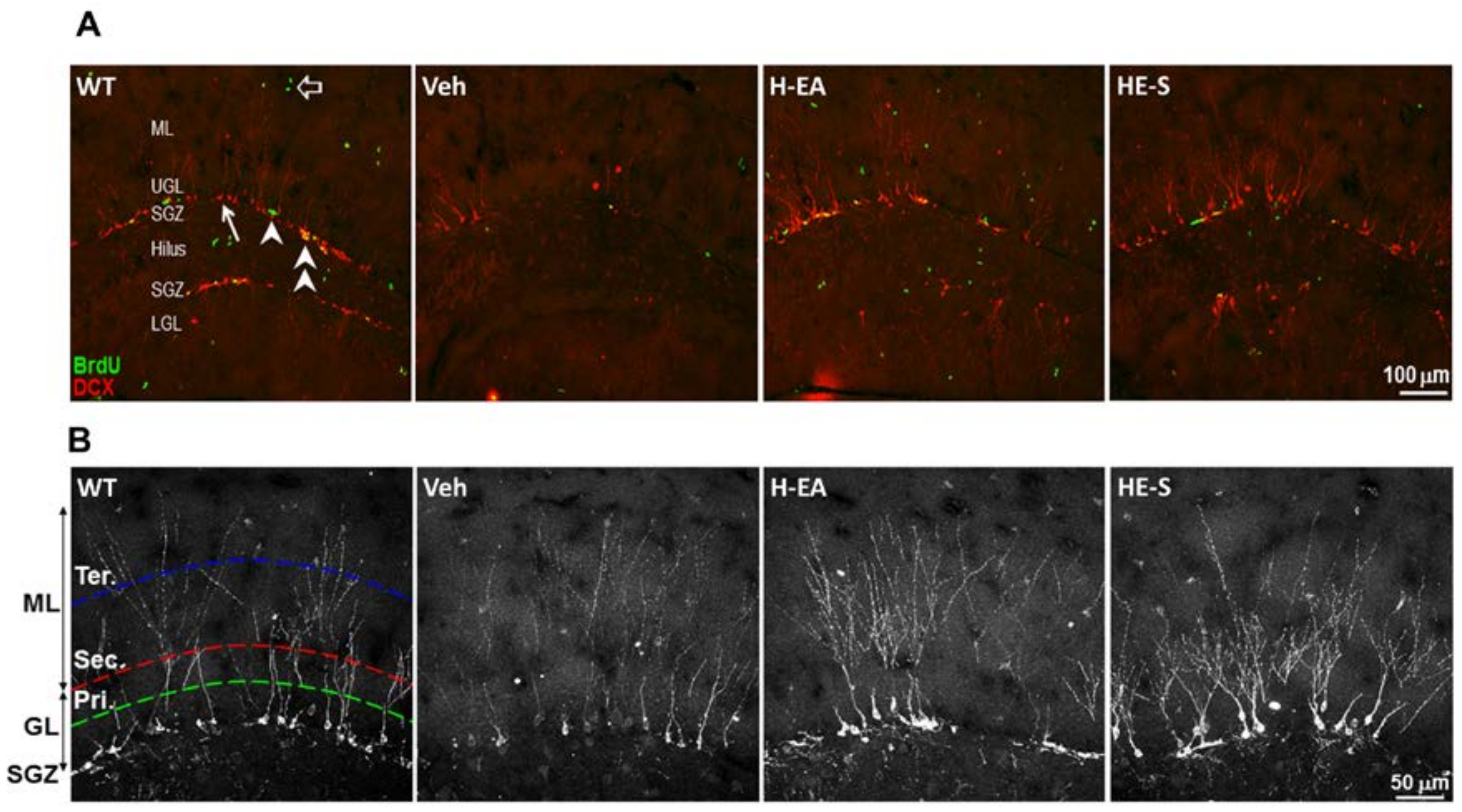 Ijms 19 00598 g005a Ijms 19 00598 g005a