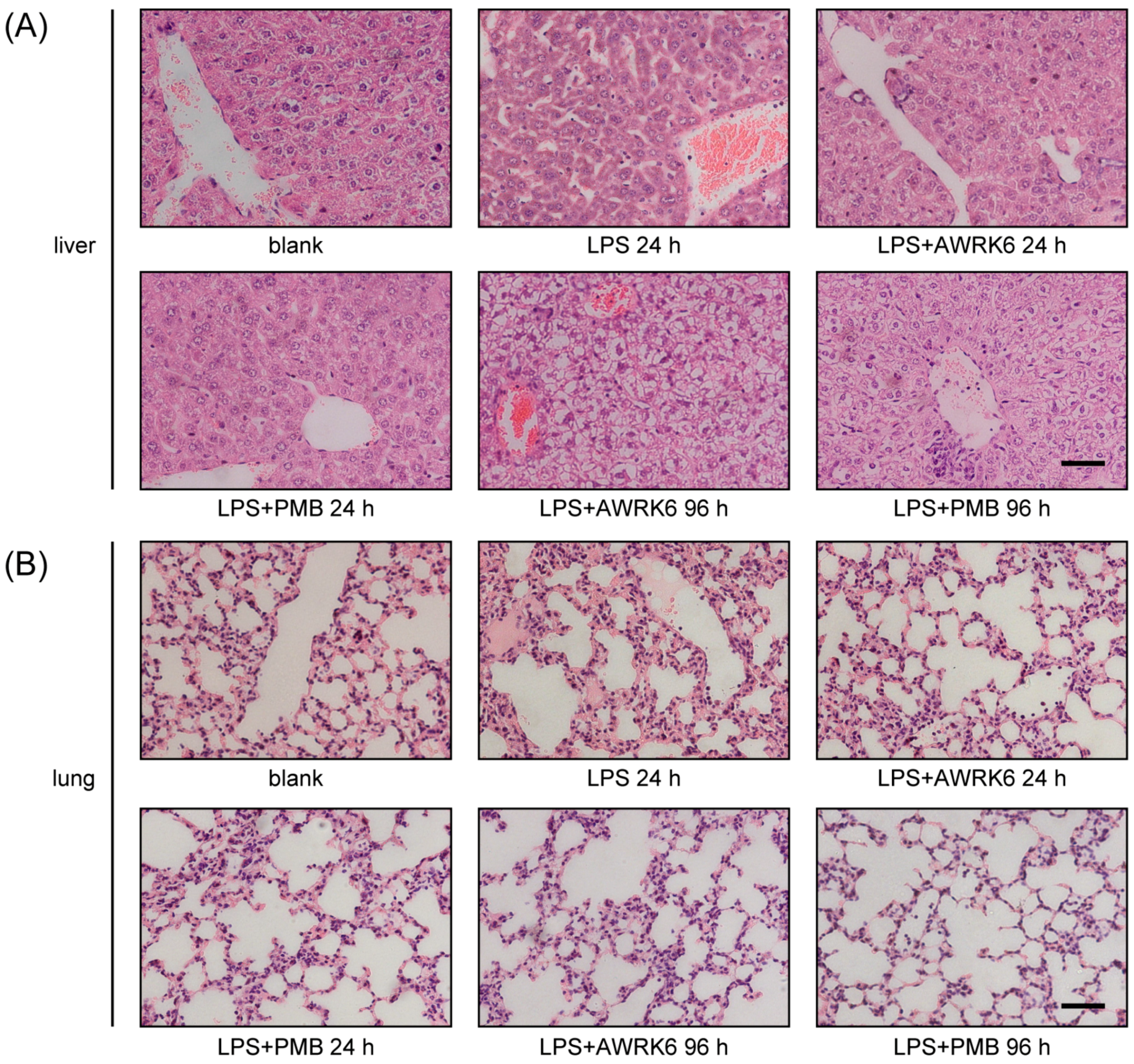 Ijms 19 00600 g003