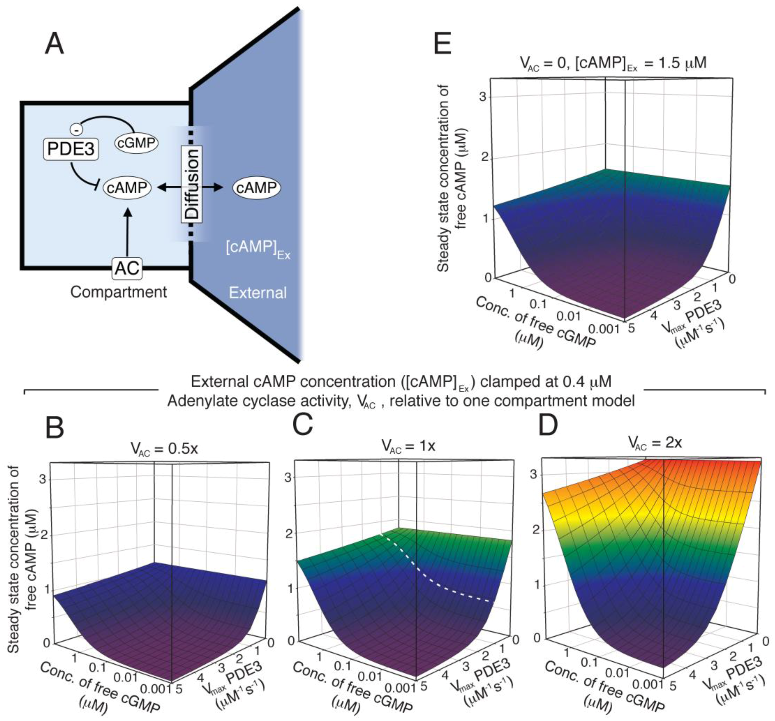 Mathematical Modelling of Nitric Oxide/Cyclic GMP/Cyclic AMP Mathematical Modelling of Nitric Oxide/Cyclic GMP/Cyclic AMP