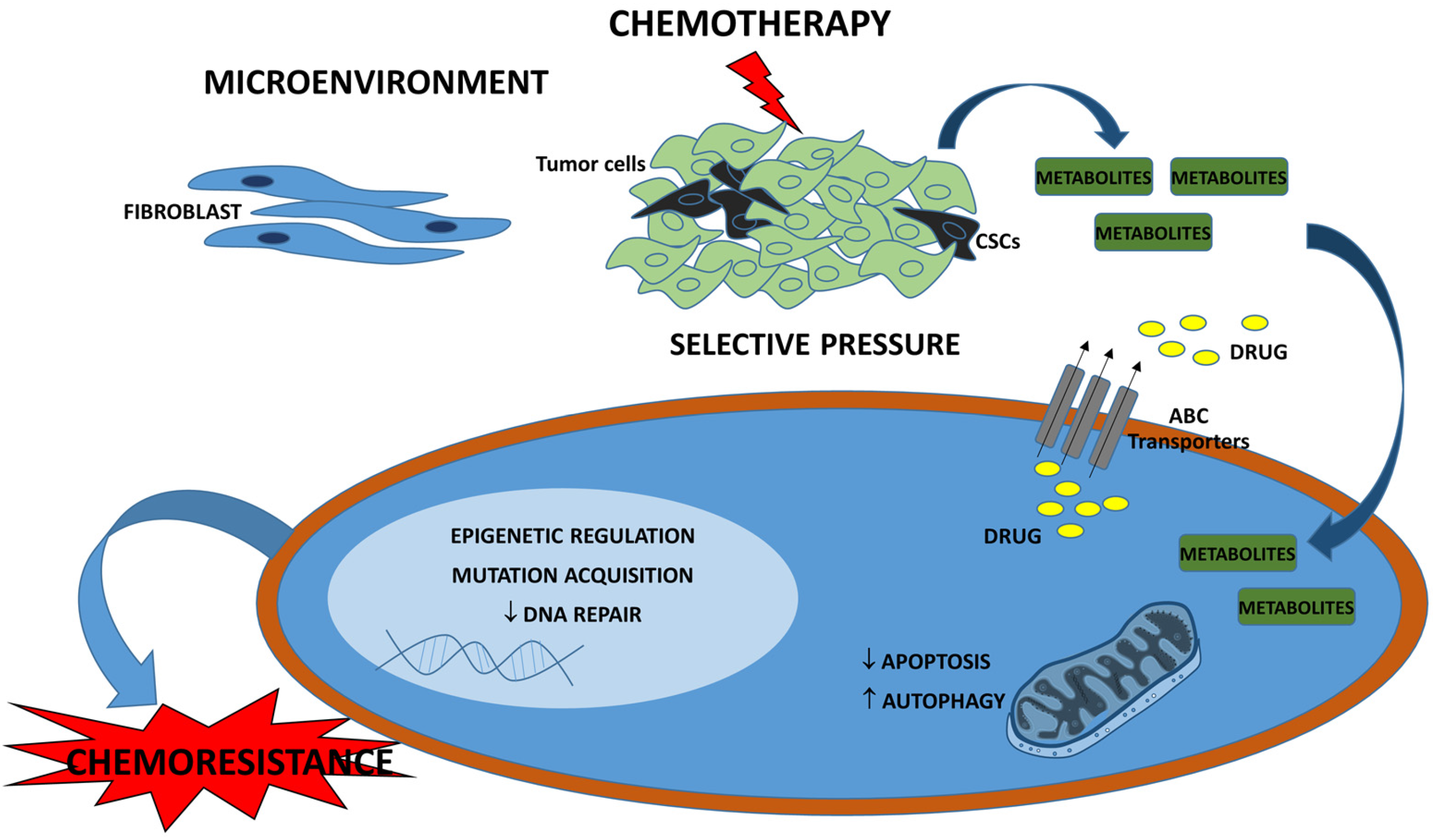 Ijms 19 00617 g001 Ijms 19 00617 g001
