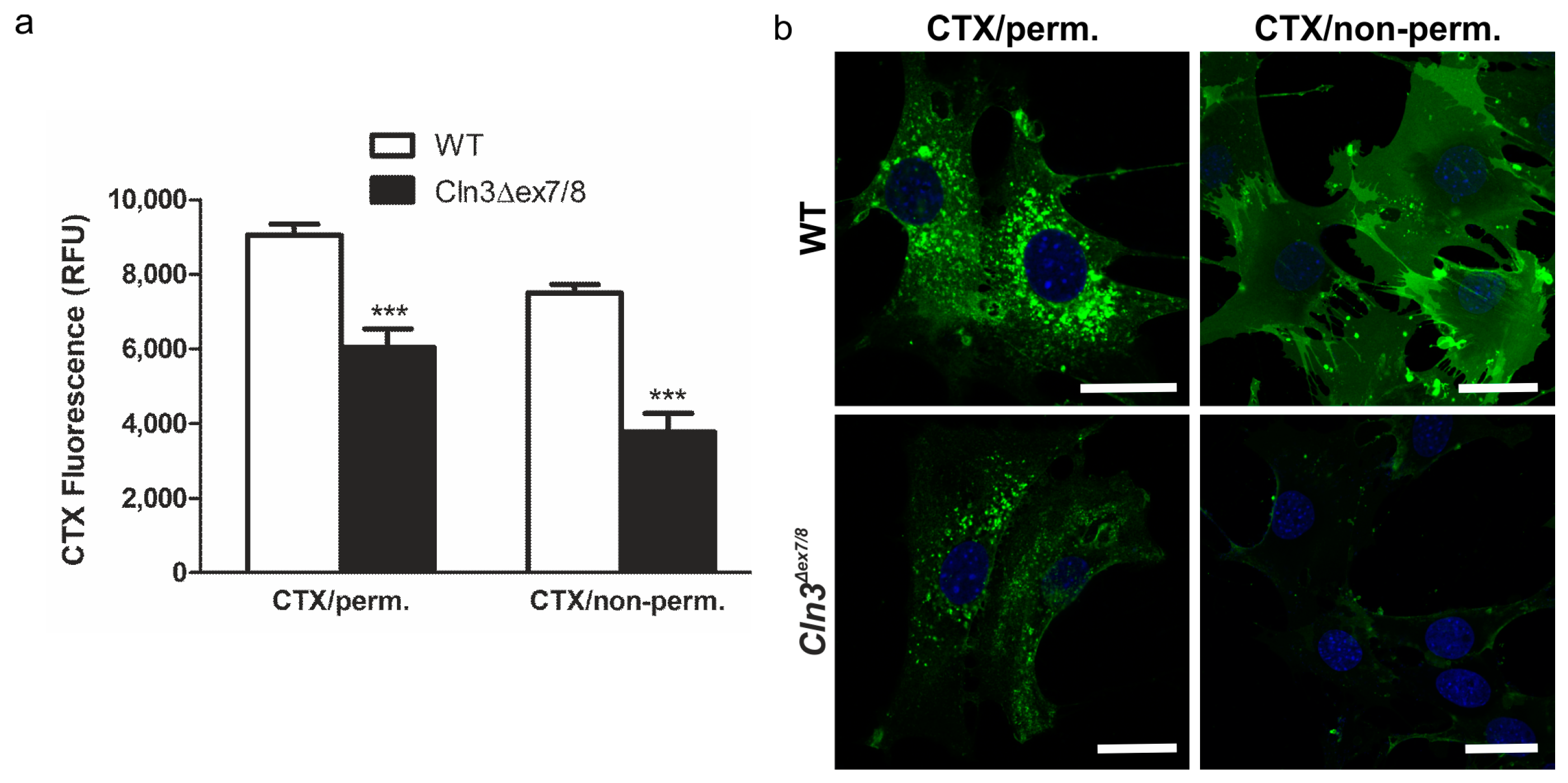 Ijms 19 00625 g004 Ijms 19 00625 g004