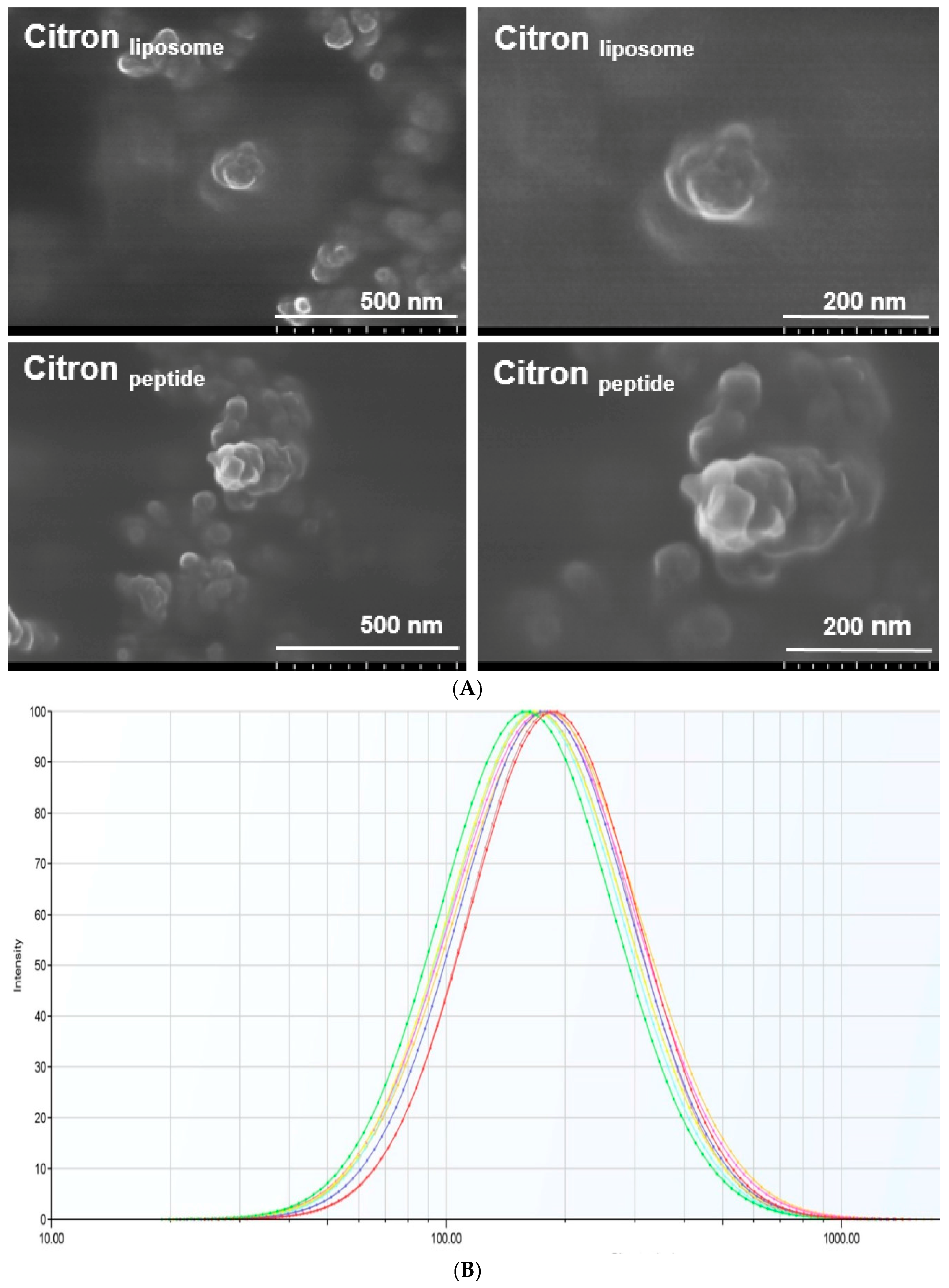 Ijms 19 00626 g001 550