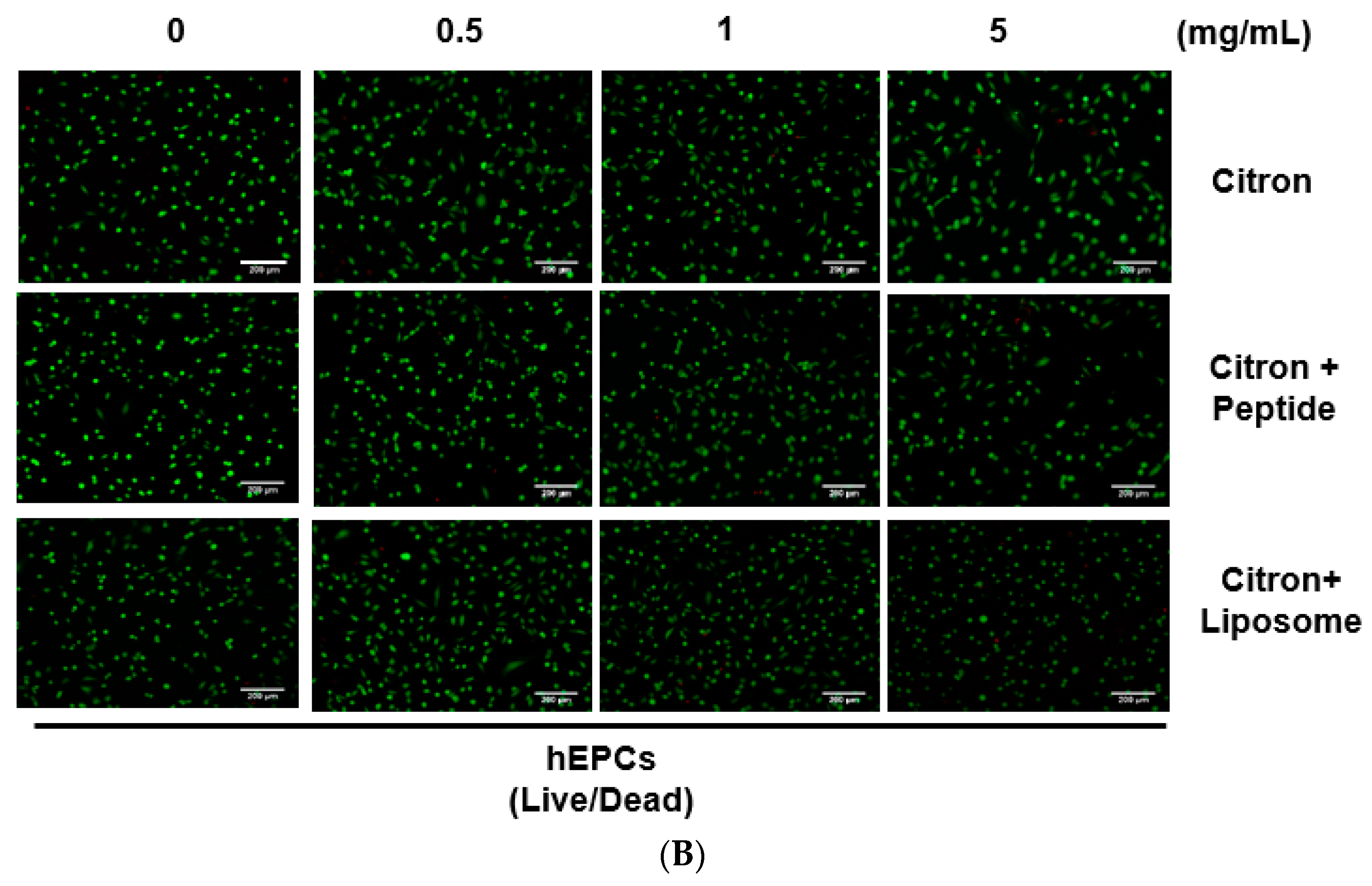 Ijms 19 00626 g003b 550