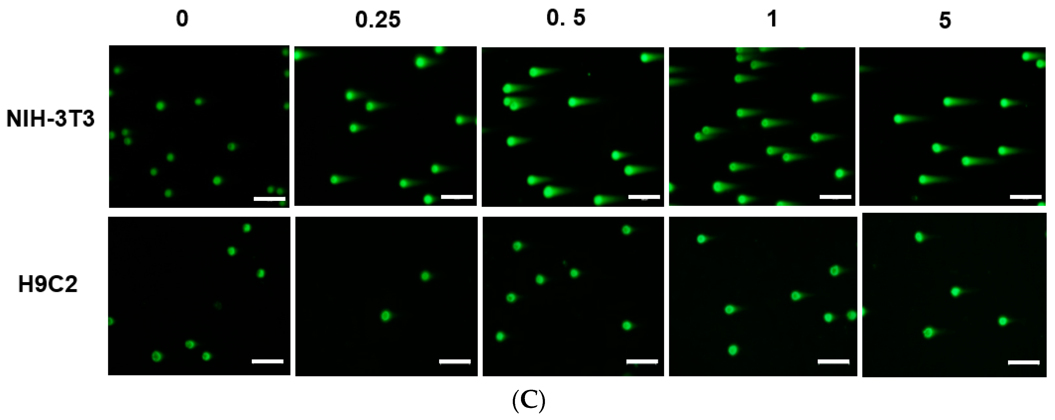 Ijms 19 00626 g005b 550