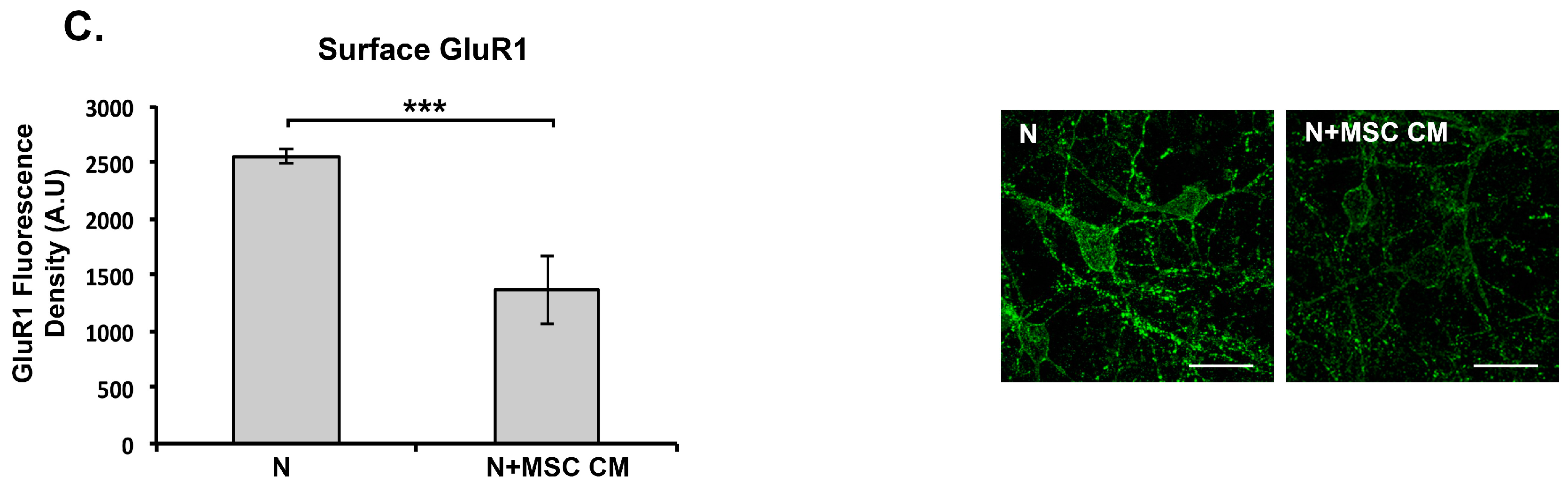 Ijms 19 00651 g005b
