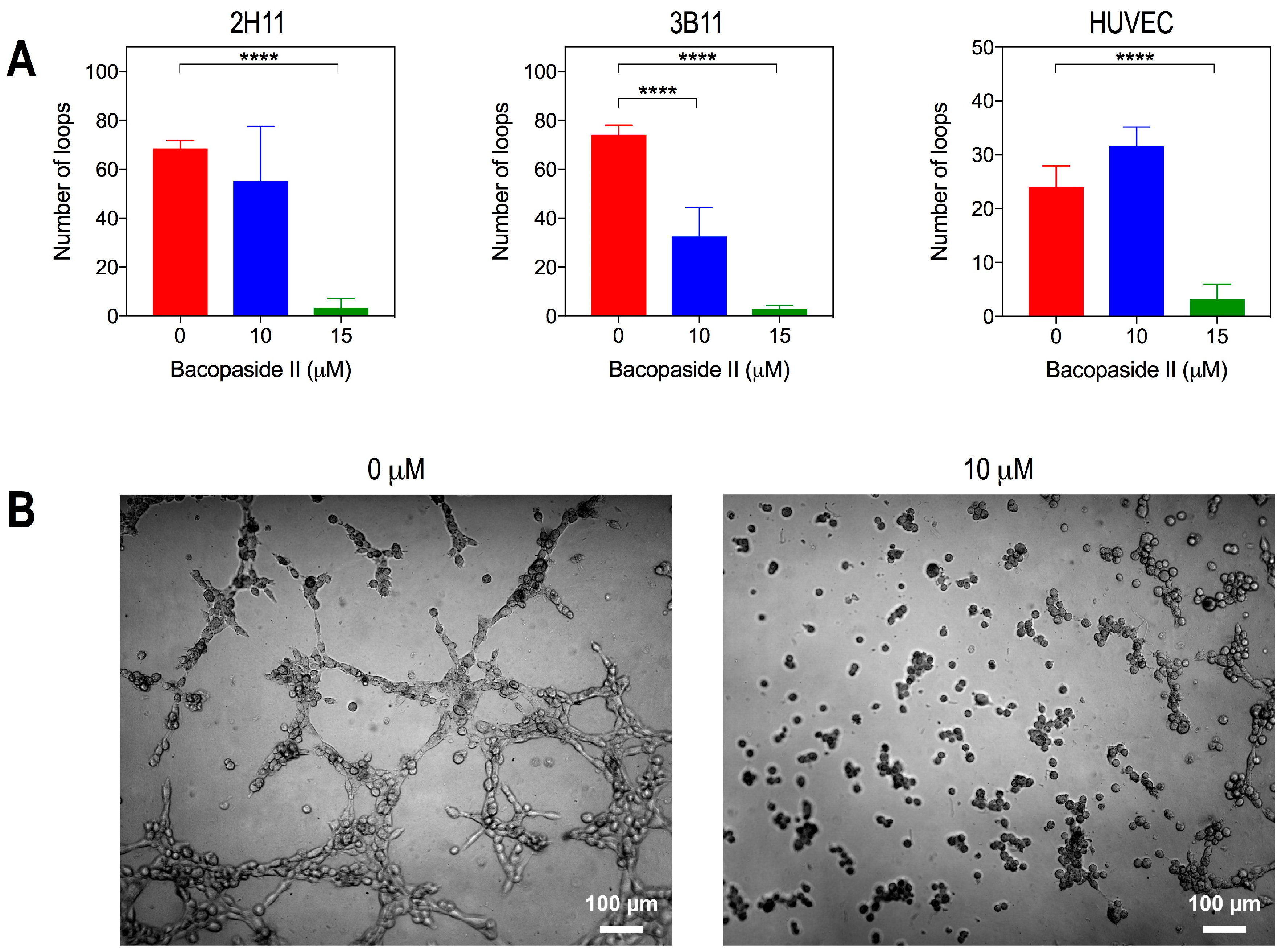 Ijms 19 00653 g006 550