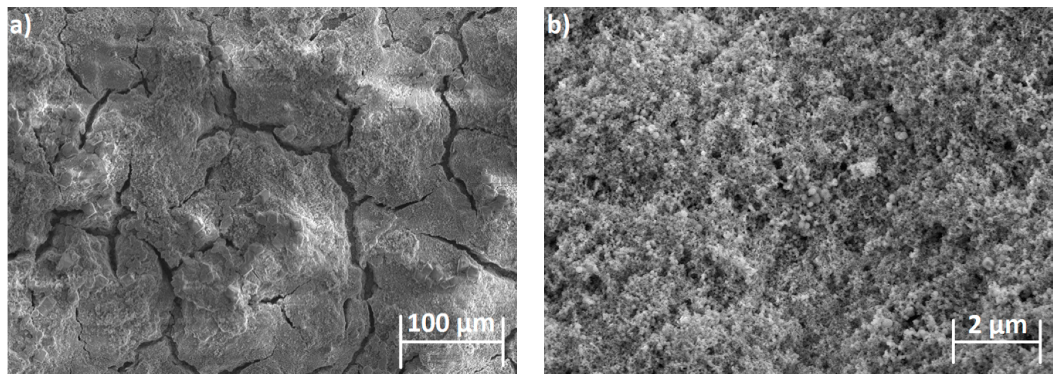 Ijms 19 00657 g002