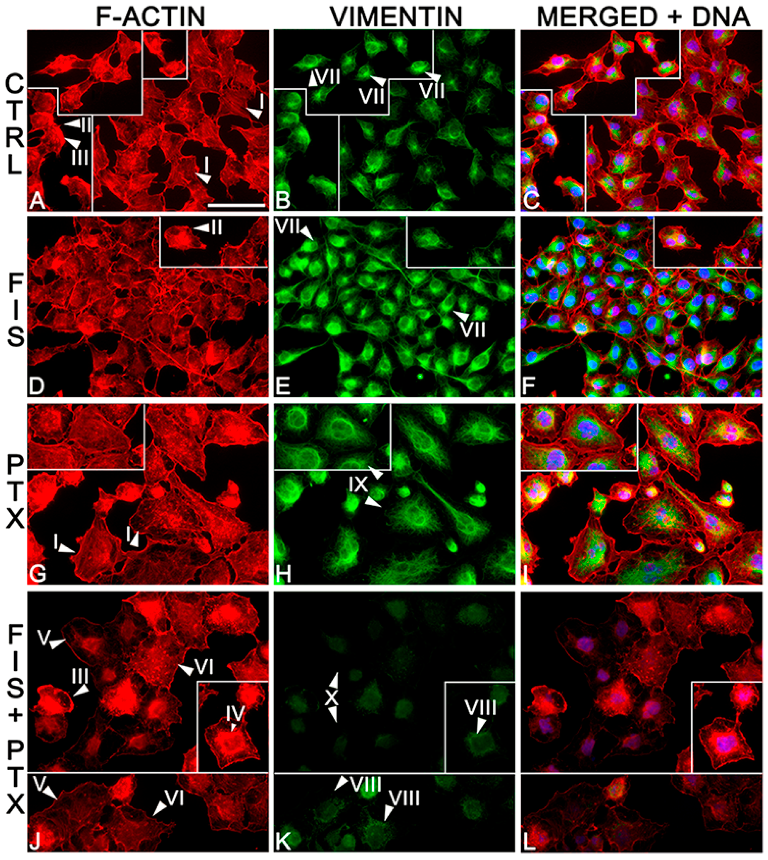 Ijms 19 00661 g004 Ijms 19 00661 g004