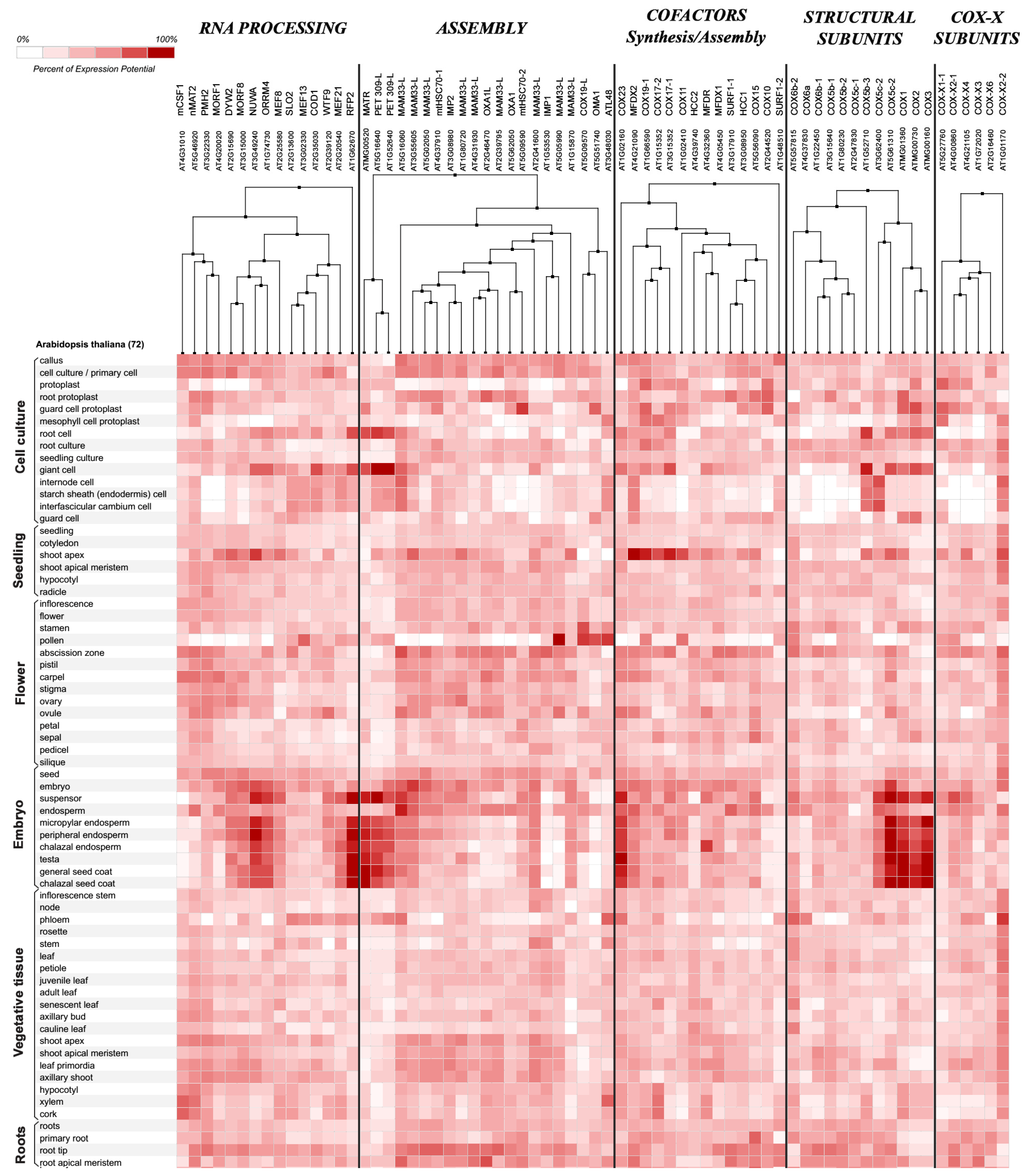 Ijms 19 00662 g001 Ijms 19 00662 g001