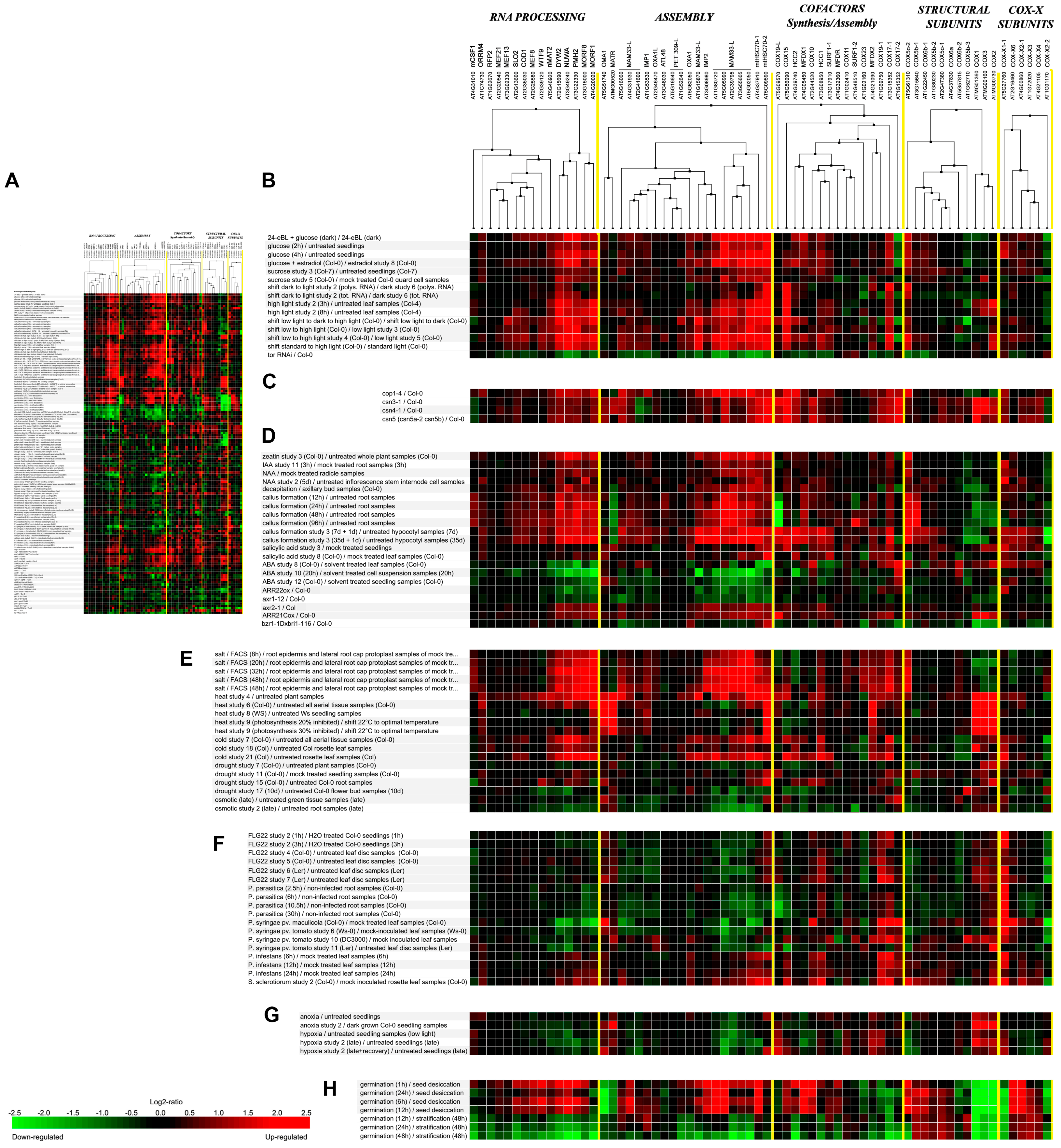 Ijms 19 00662 g002 Ijms 19 00662 g002