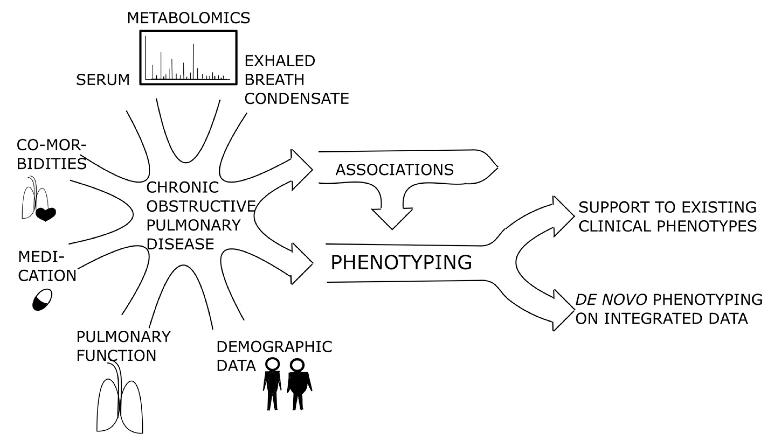 Pathogenesis Of Copd Flow Chart