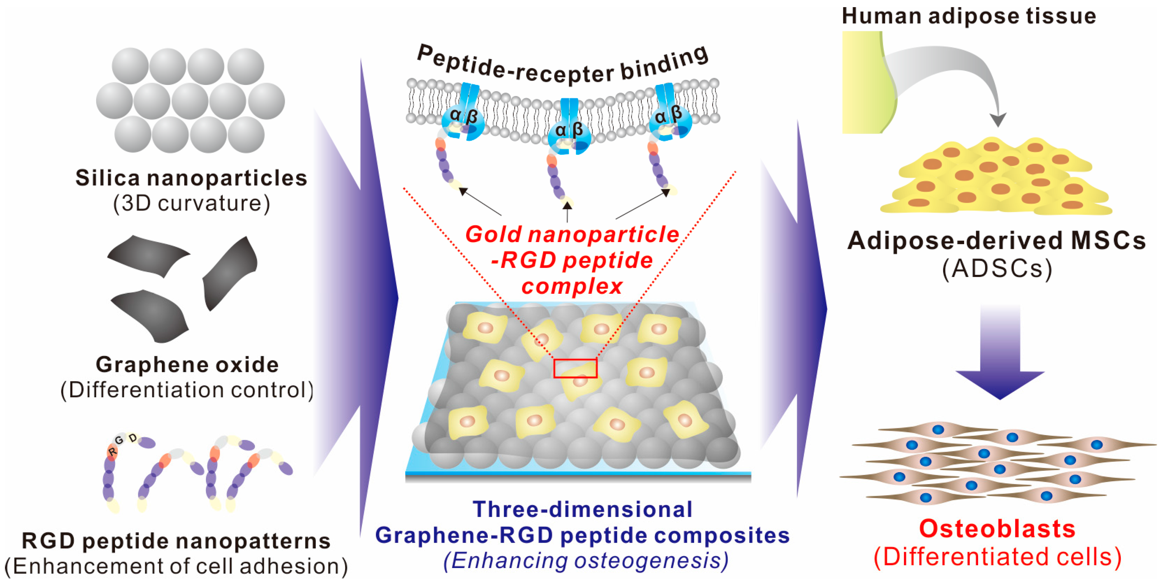 Ijms 19 00669 g001 Ijms 19 00669 g001