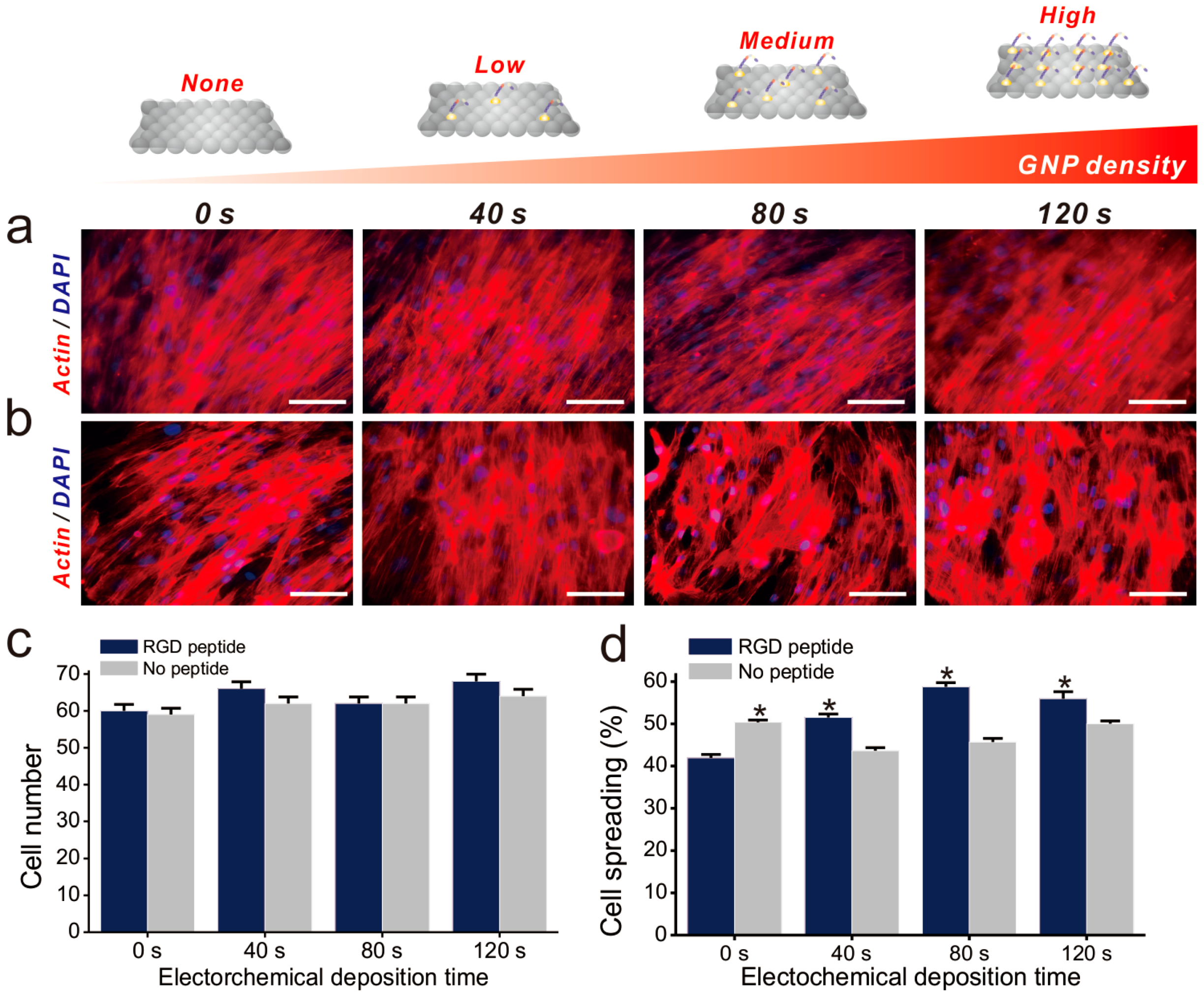 Ijms 19 00669 g004 Ijms 19 00669 g004
