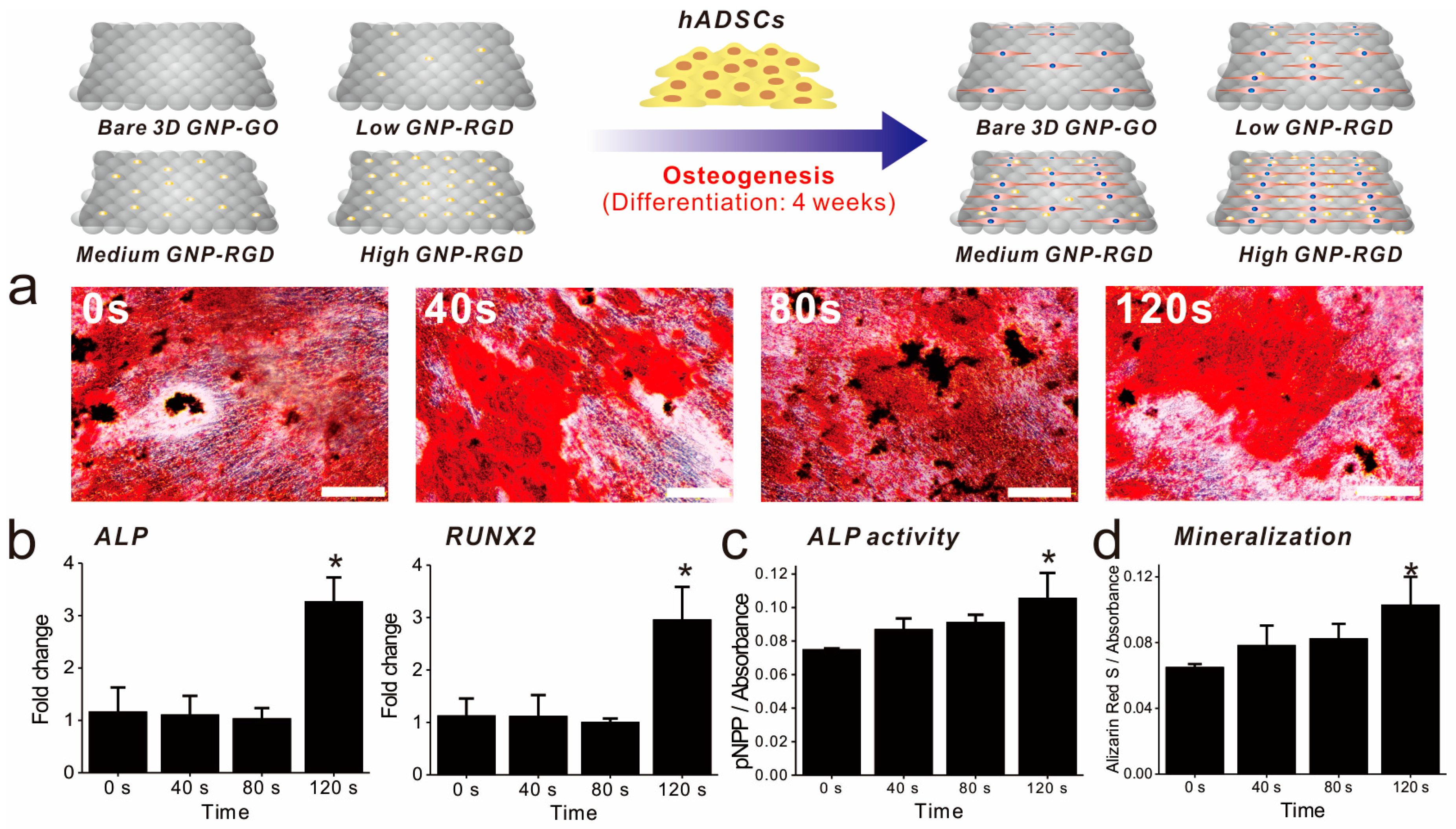 Ijms 19 00669 g005 Ijms 19 00669 g005