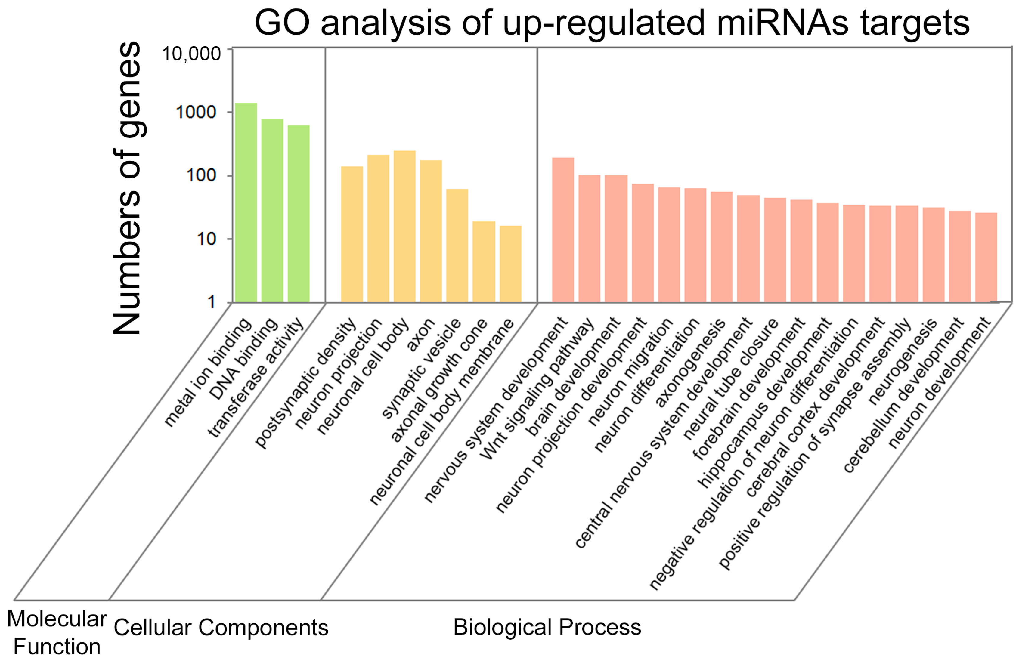 Ijms 19 00671 g004 Ijms 19 00671 g004
