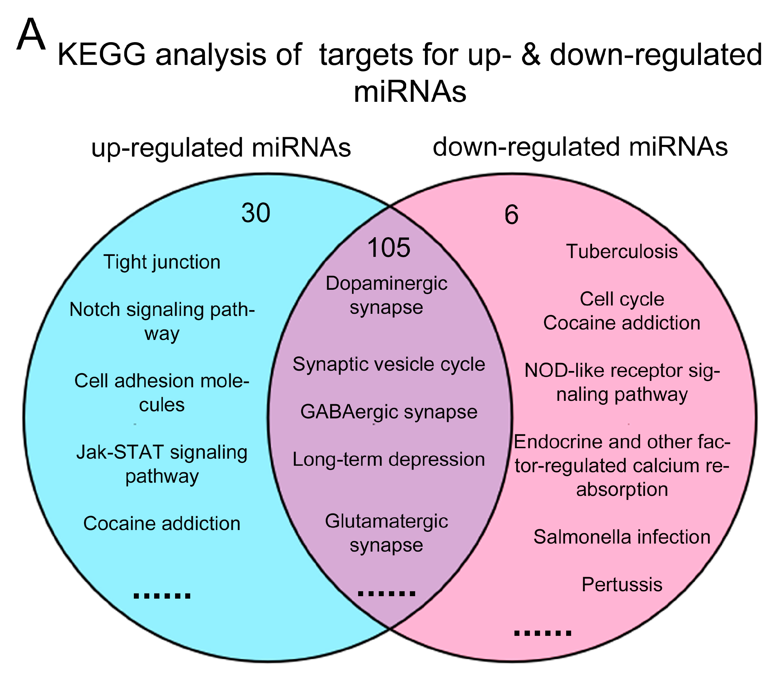 Ijms 19 00671 g005a Ijms 19 00671 g005a
