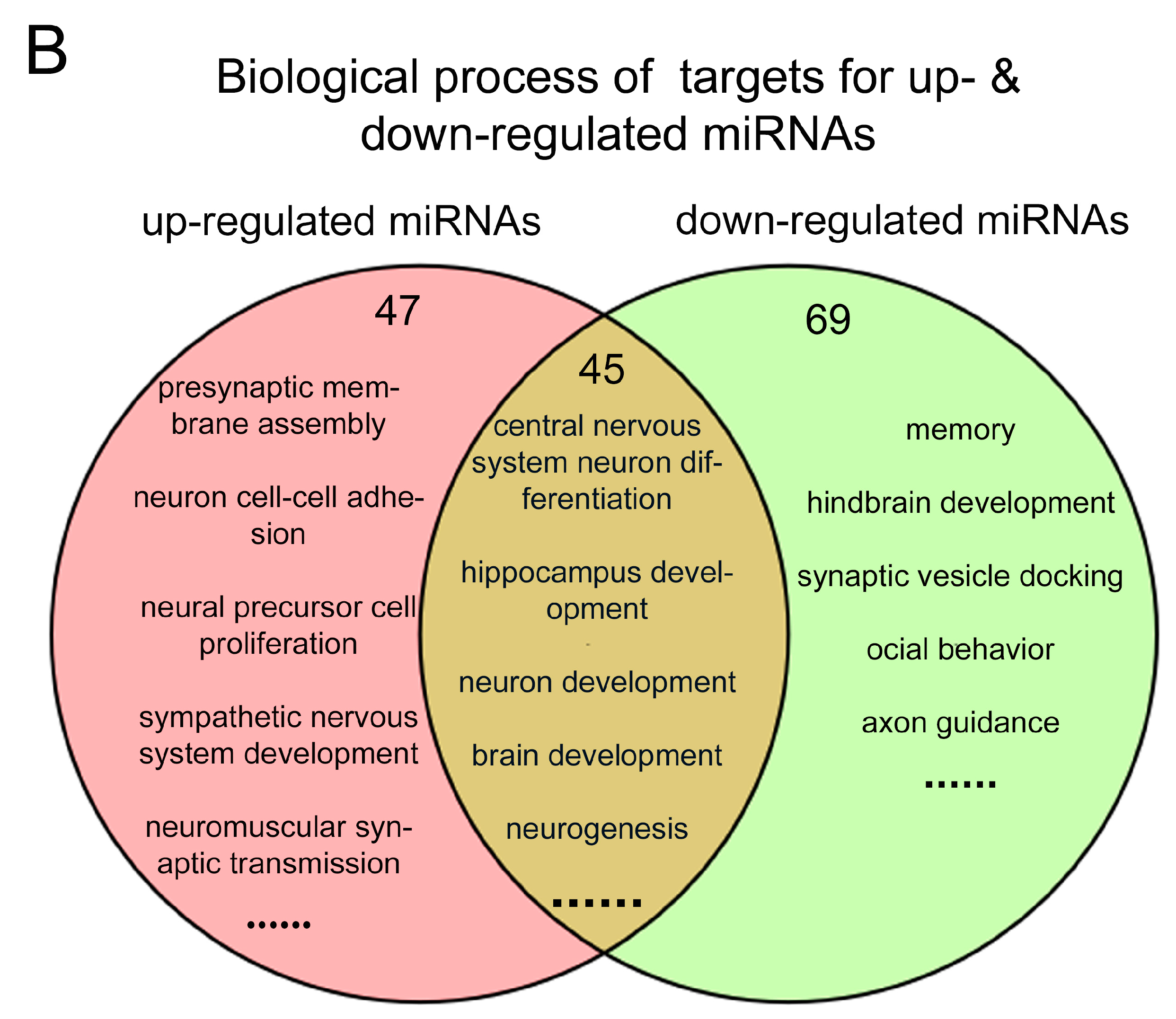 Ijms 19 00671 g005b Ijms 19 00671 g005b